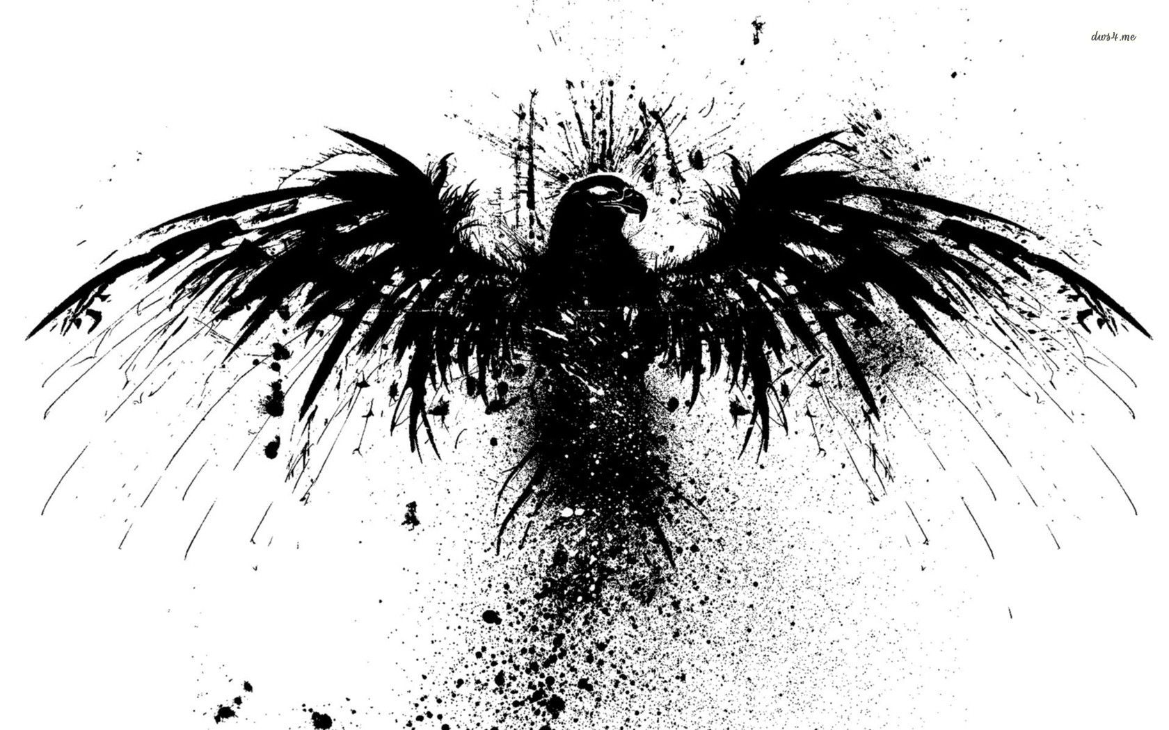 Eagle pics black and white wallpaper