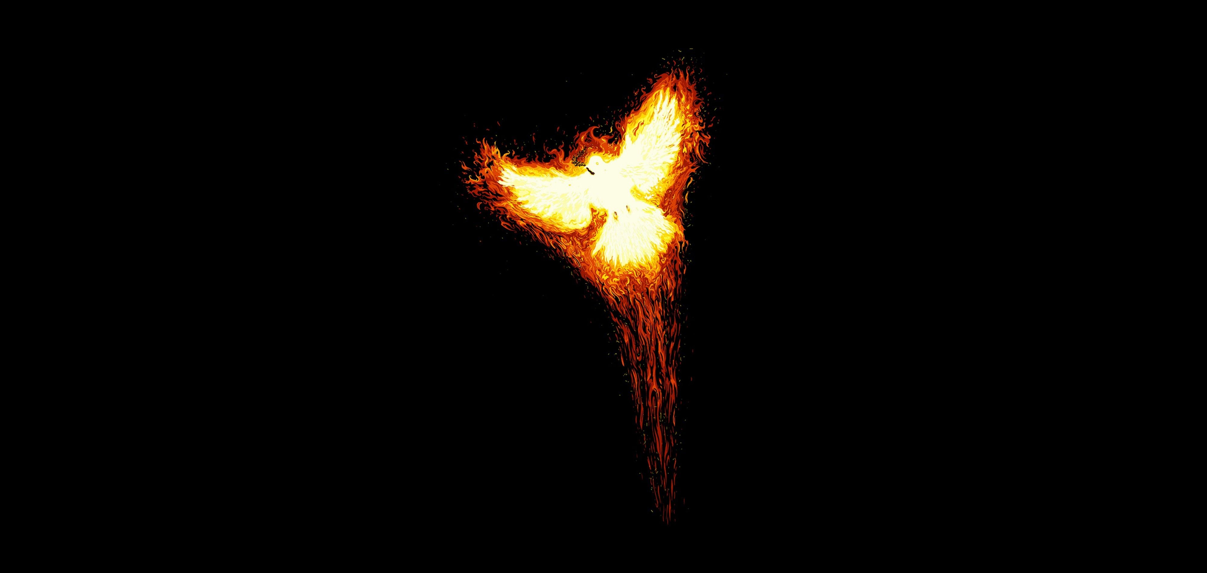 abstract black birds fire phoenix black background 4000x1900