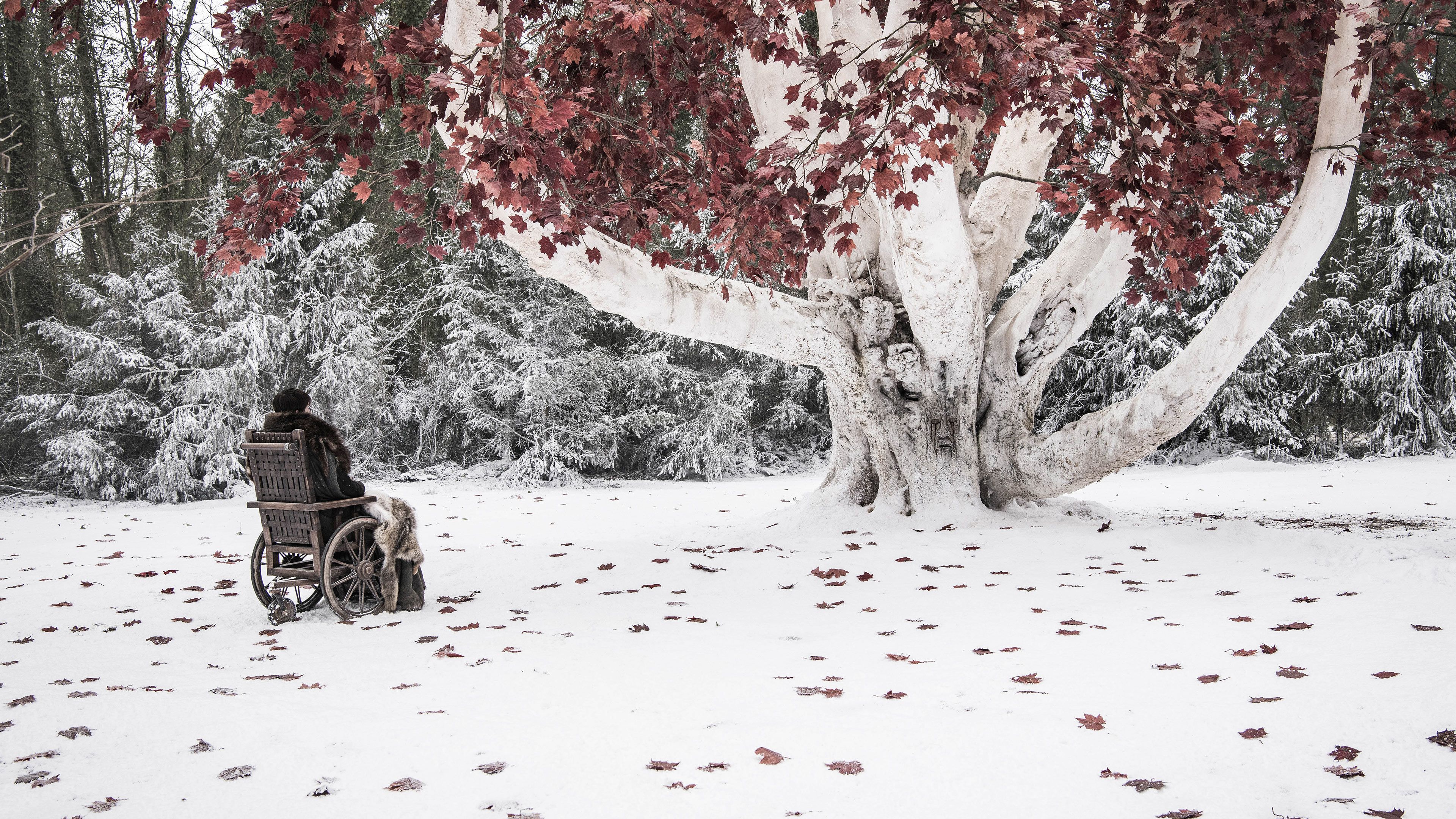 Bran Stark Game Of Thrones 8 2560x1024 Resolution