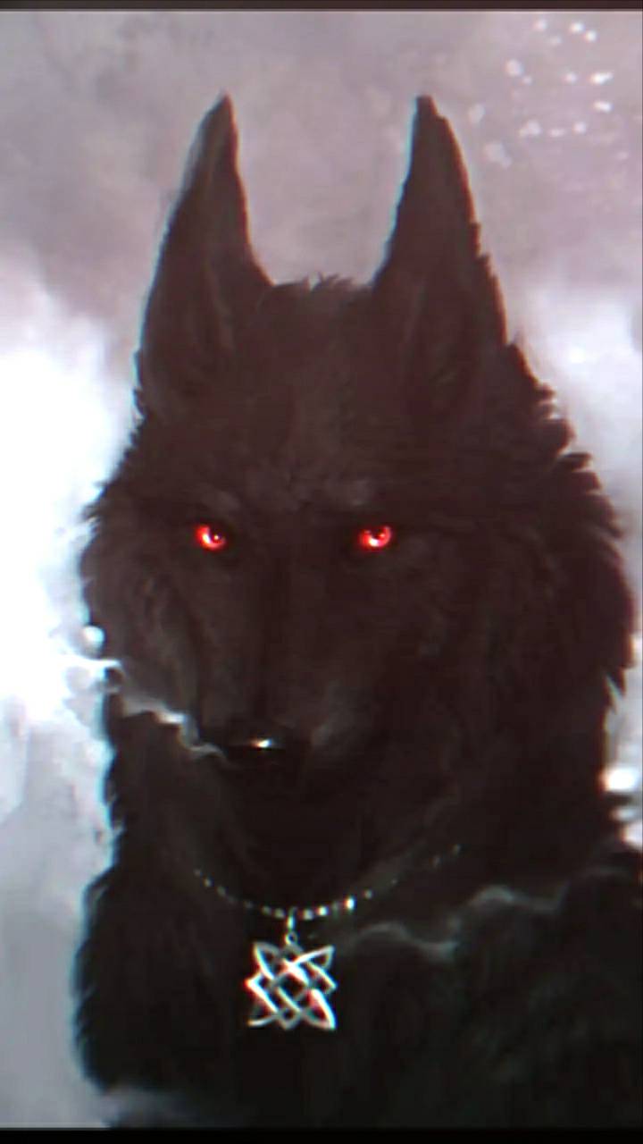 Black Demon Wolf Pup Download  Anime Wolf Transparent  Free Transparent  PNG Clipart Images Download