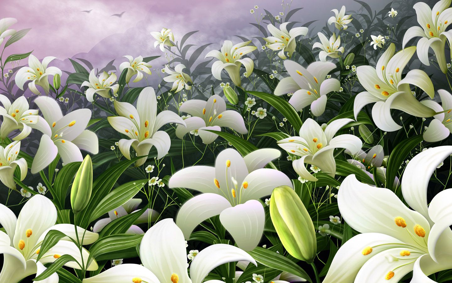 Free download lilies flowers wallpaper white lilies flowers wallpaper white lilies [1440x900] for your Desktop, Mobile & Tablet. Explore Lily Flower Wallpaper. Calla Lily Wallpaper Border, Flowers Lilies Purple