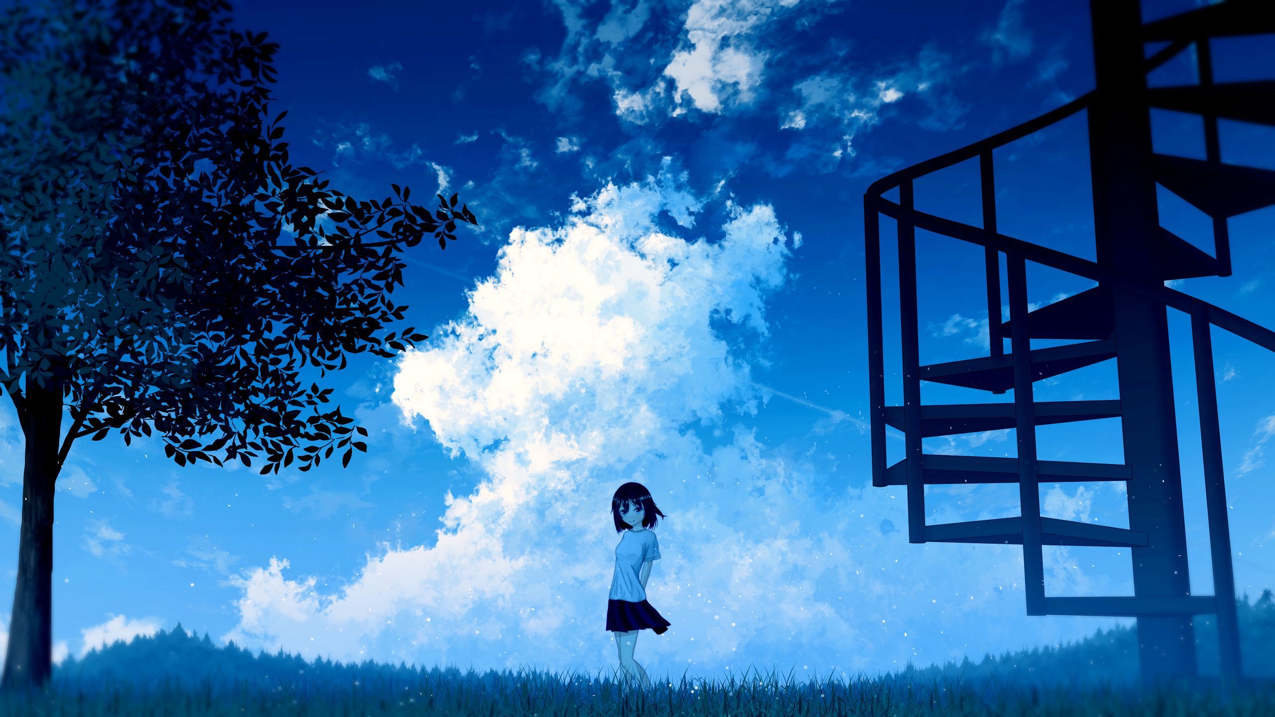 Download wallpaper 2560x1440 anime, girl, sky, clouds widescreen