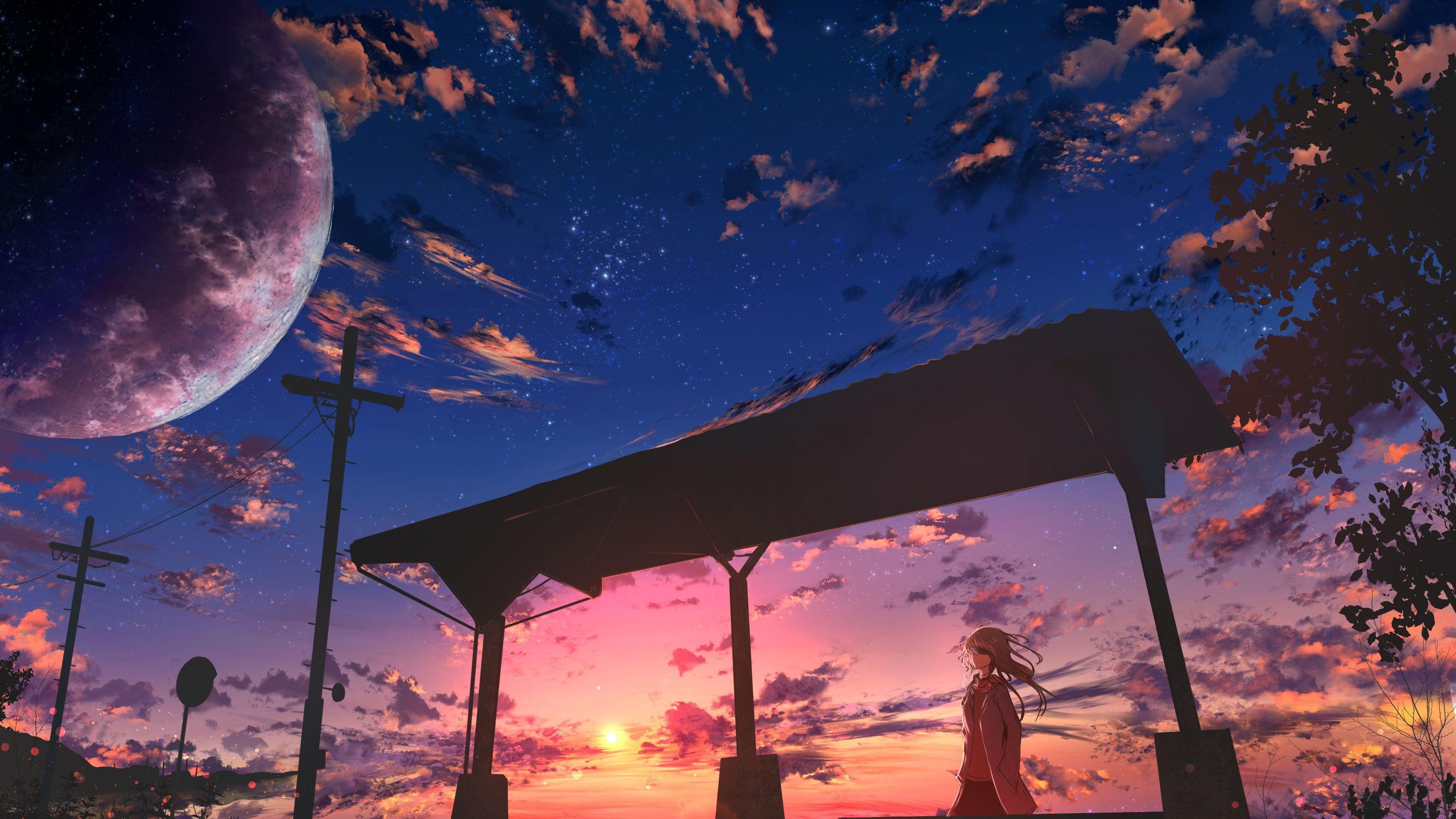 Starry Sky Anime Girl 1440P Resolution HD 4k Wallpaper