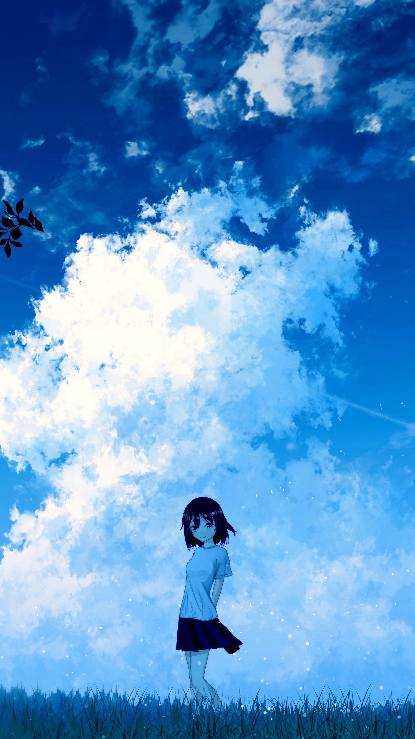 Download wallpaper 1440x2560 anime, girl, sky, clouds qhd samsung