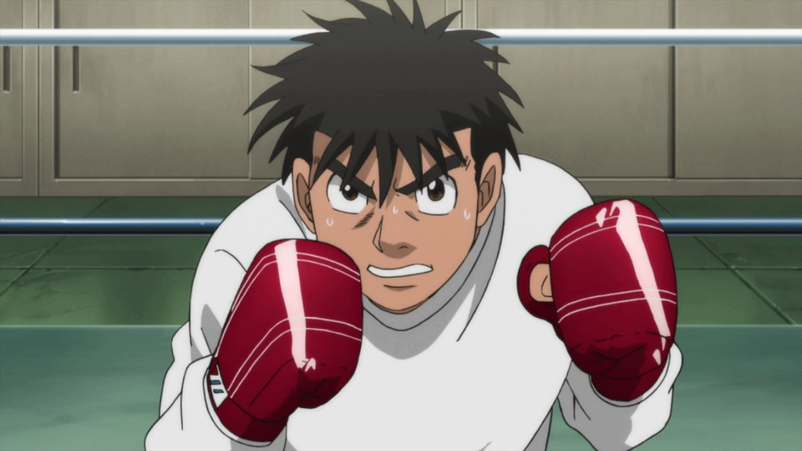 Hajime no Ippo Season 4: Confirmed? When Will It Return? Details