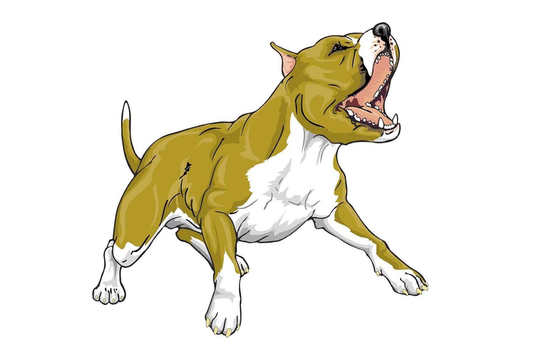 dogs, Animated, Bull, Pitbull Wallpaper HD / Desktop and Mobile Background