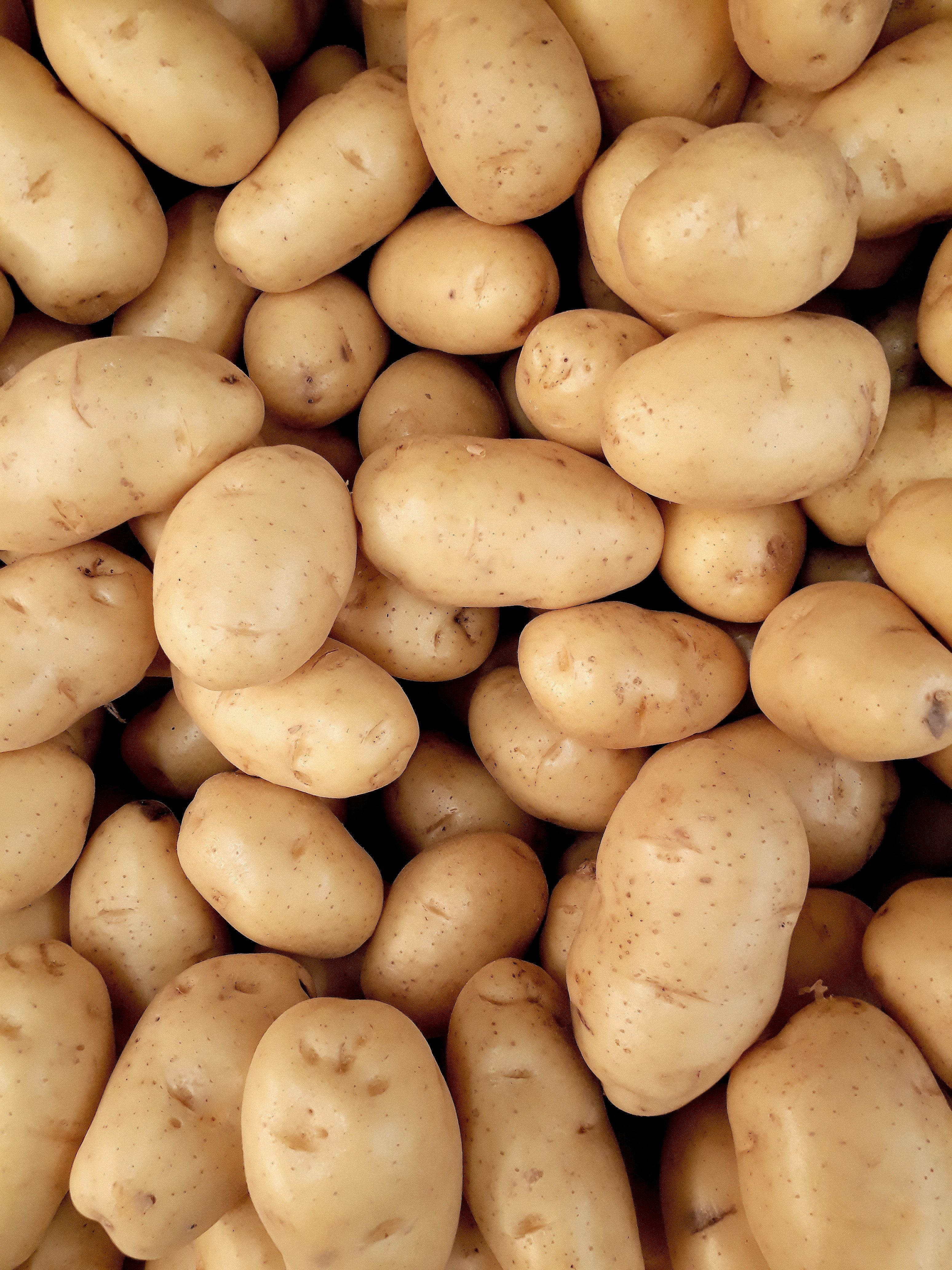 Photo of Pile Of Potatoes · Free