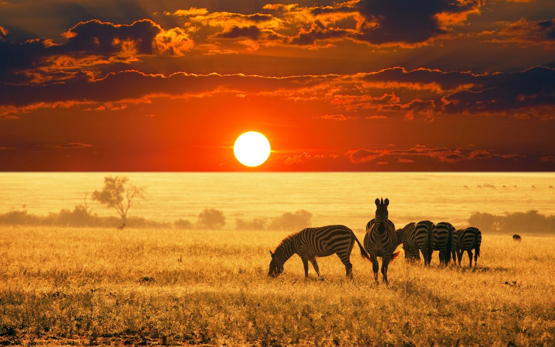 African Landscape Wallpaper