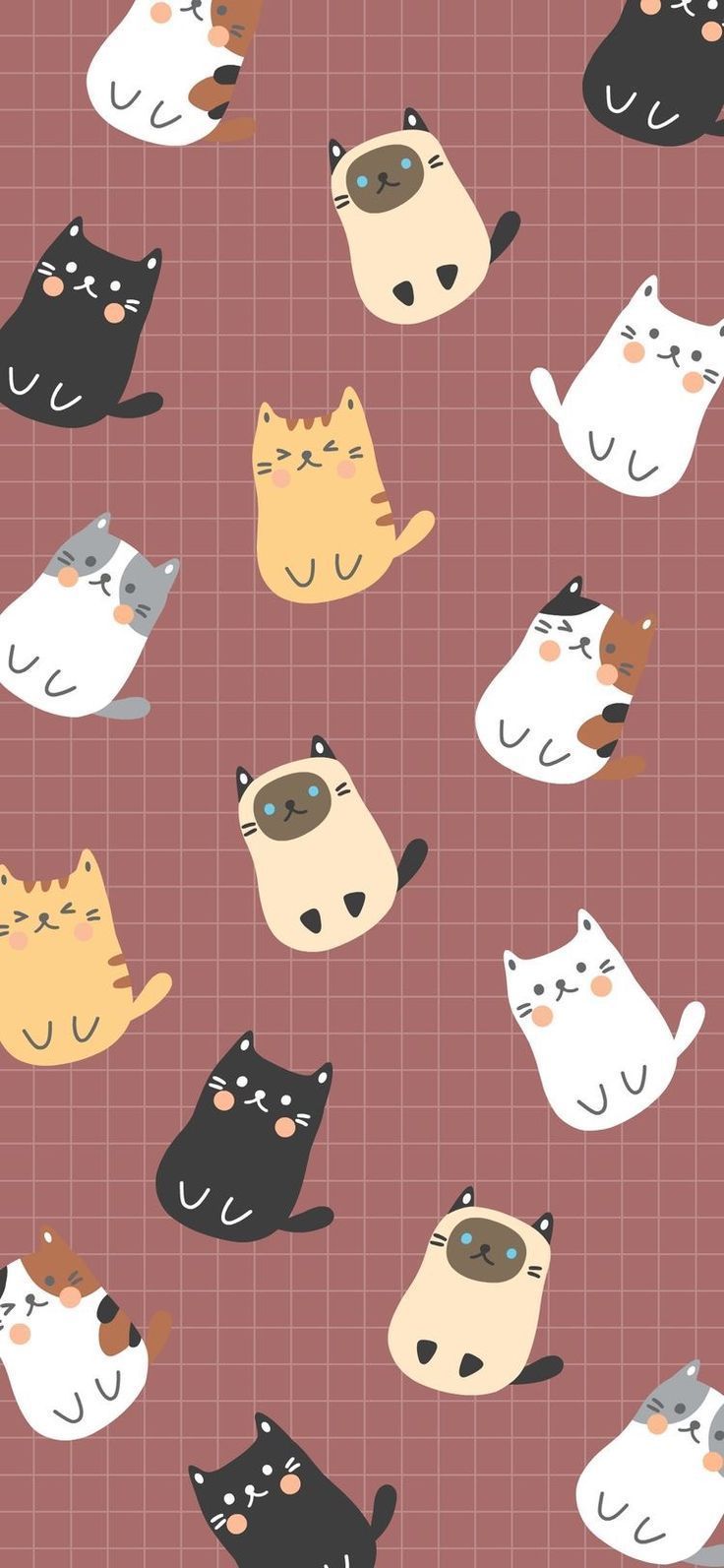 Cat Phone Cute Wallpapers - Wallpaper Cave