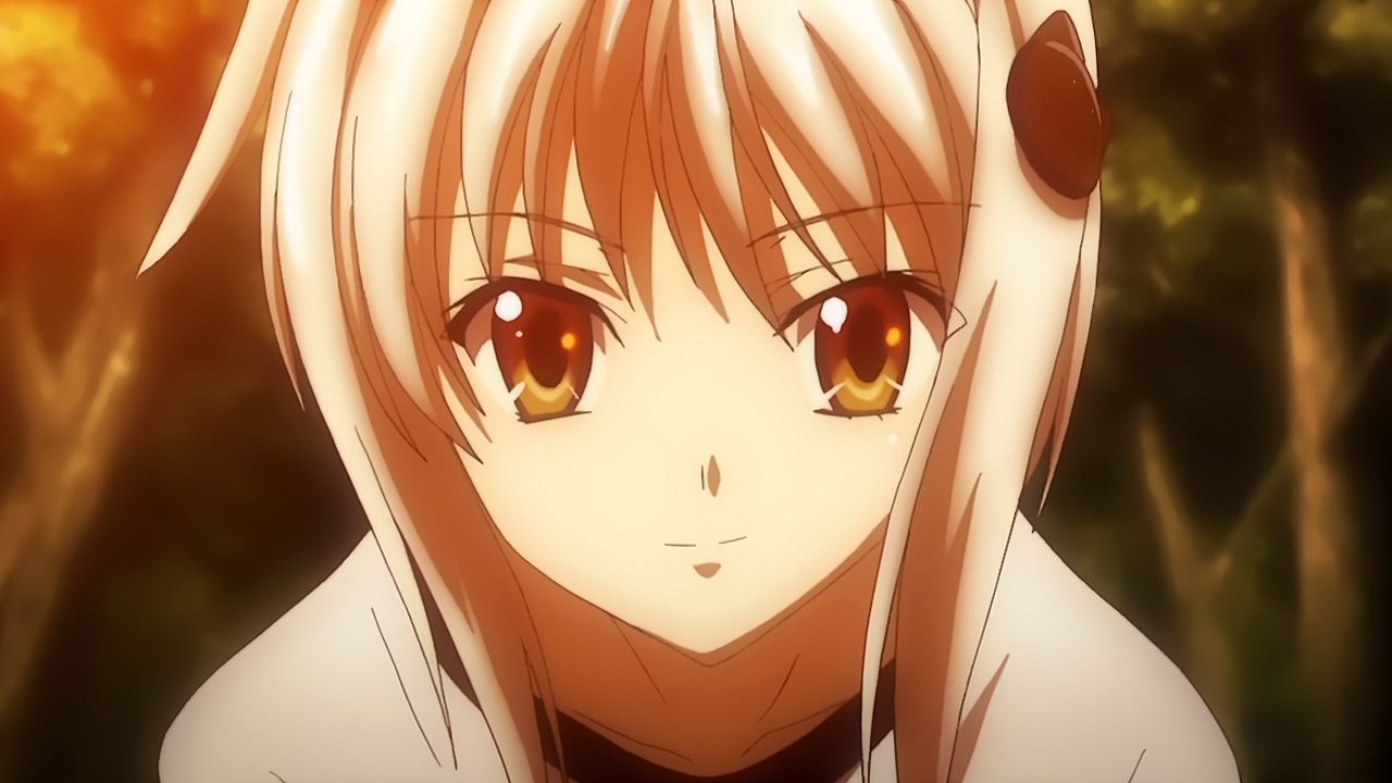 High School D×D: Occult Research Club / Characters