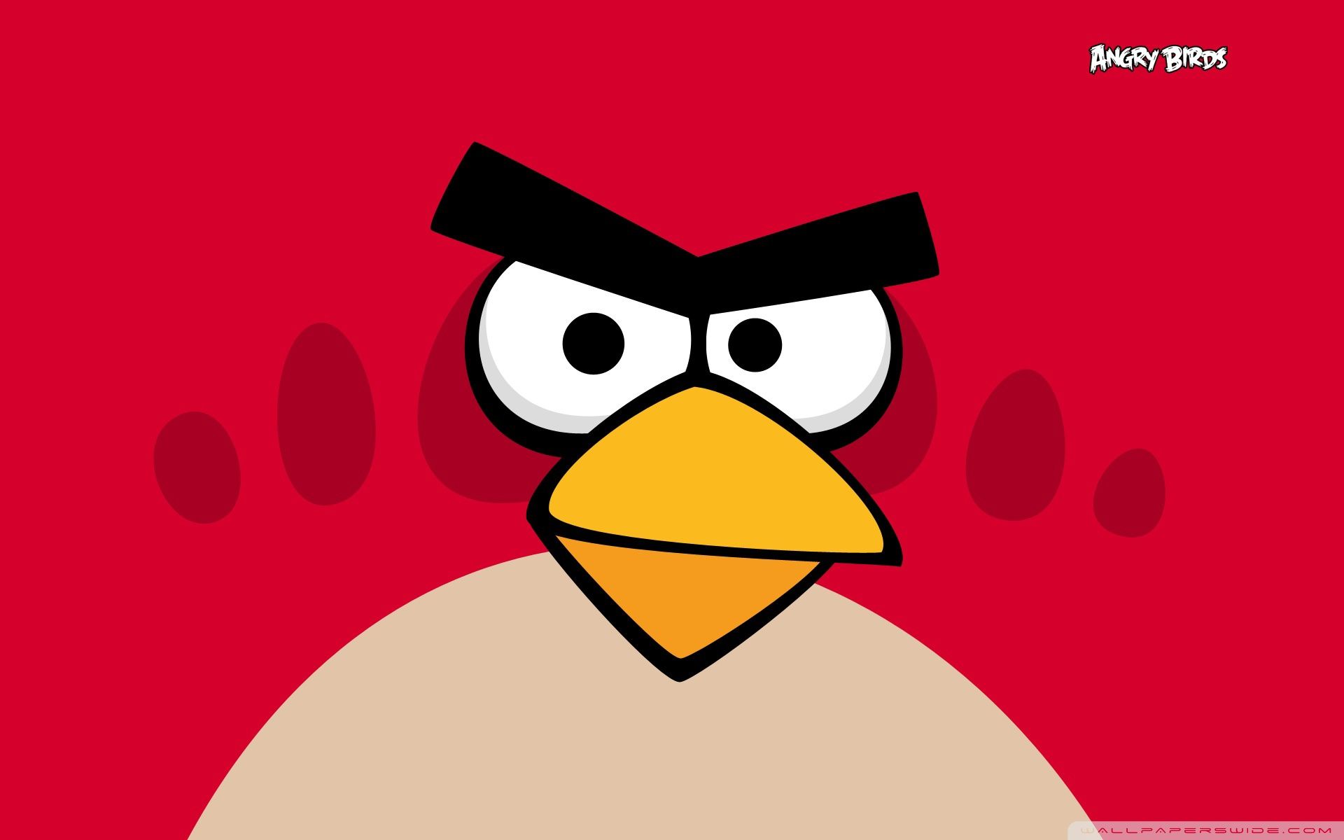 Angry Birds Bird Ultra HD Desktop Background Wallpaper