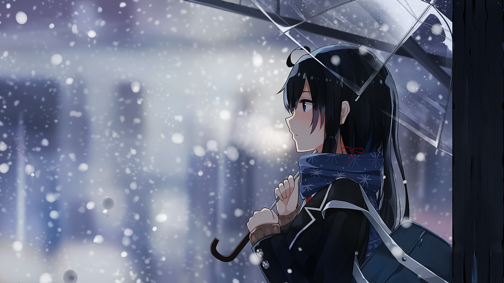 Yahari Ore No Seishun Rabu Kome Wa Machigatteiru (12) wallpaper, 2284x1200, 1050129