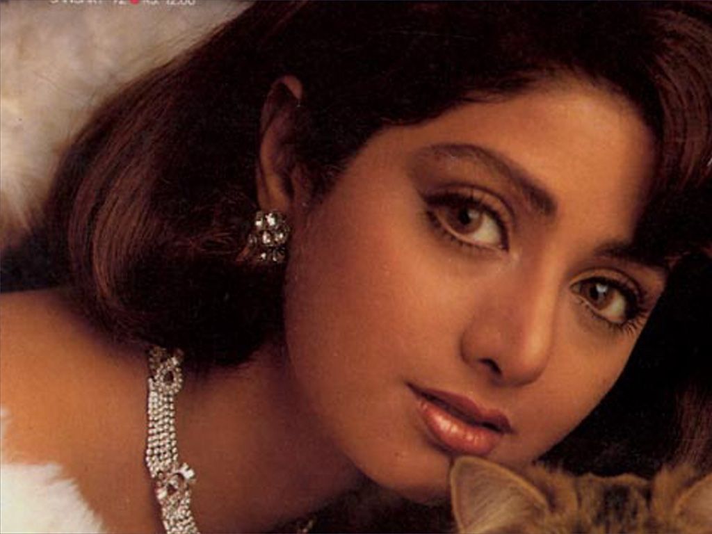 Sridevi: Sridevi wallpaper
