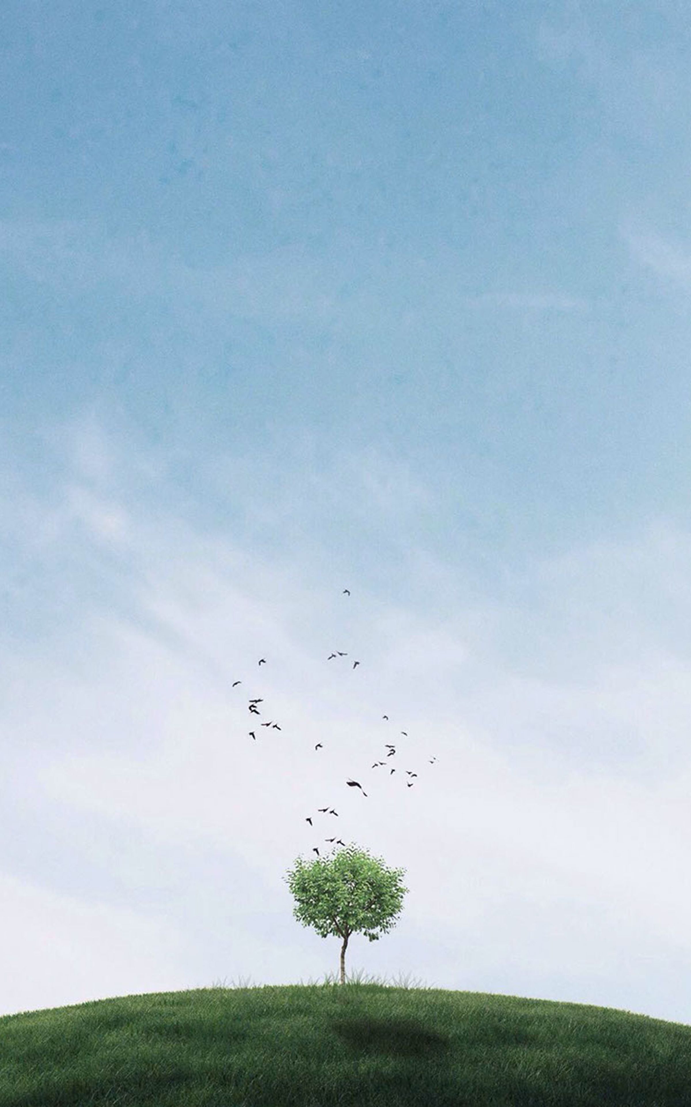 Mobile Phone Wallpaper Download Wallpaper