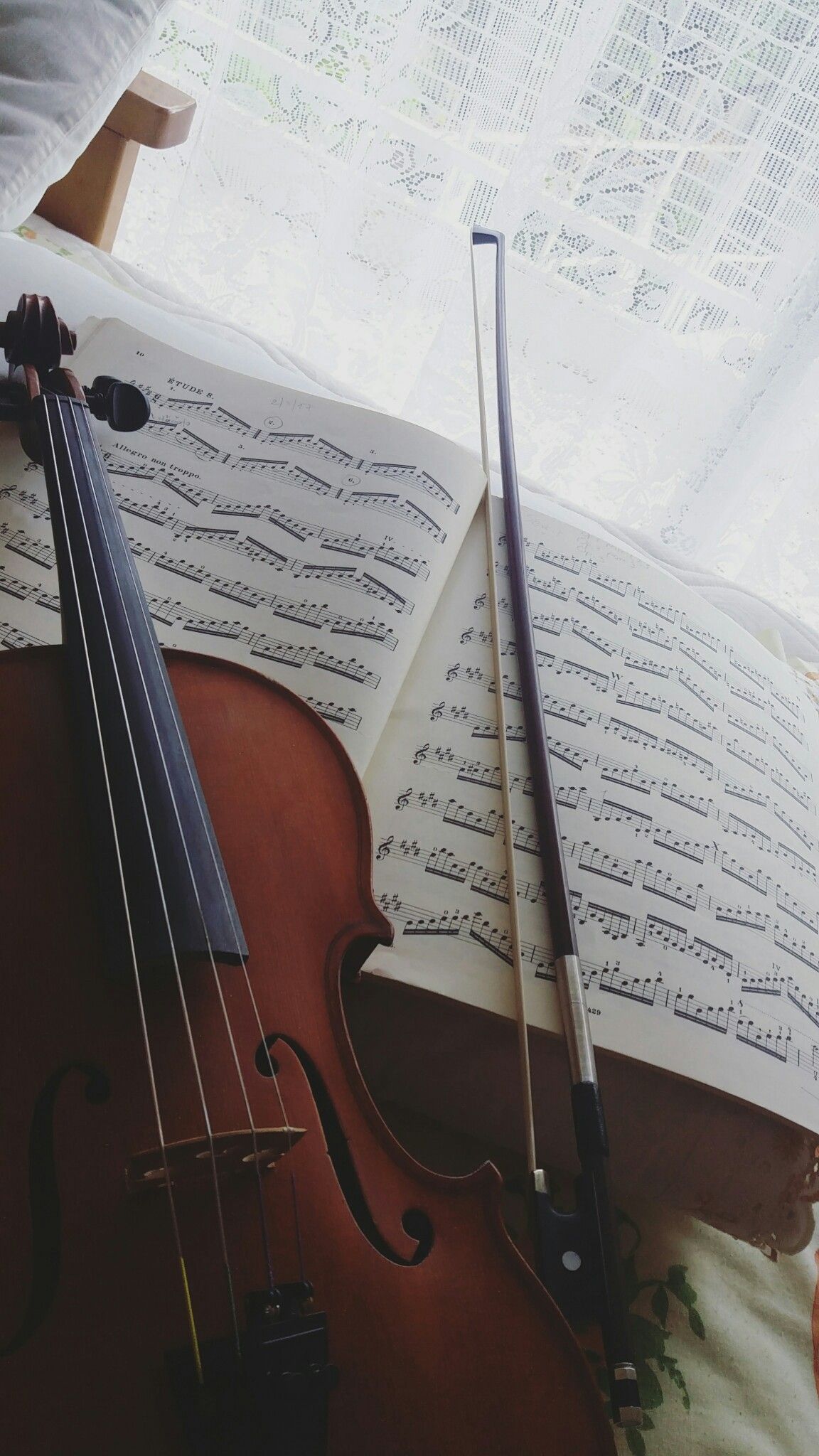 Violin♡ #MyViolin #Violin #Music #classicalmusic
