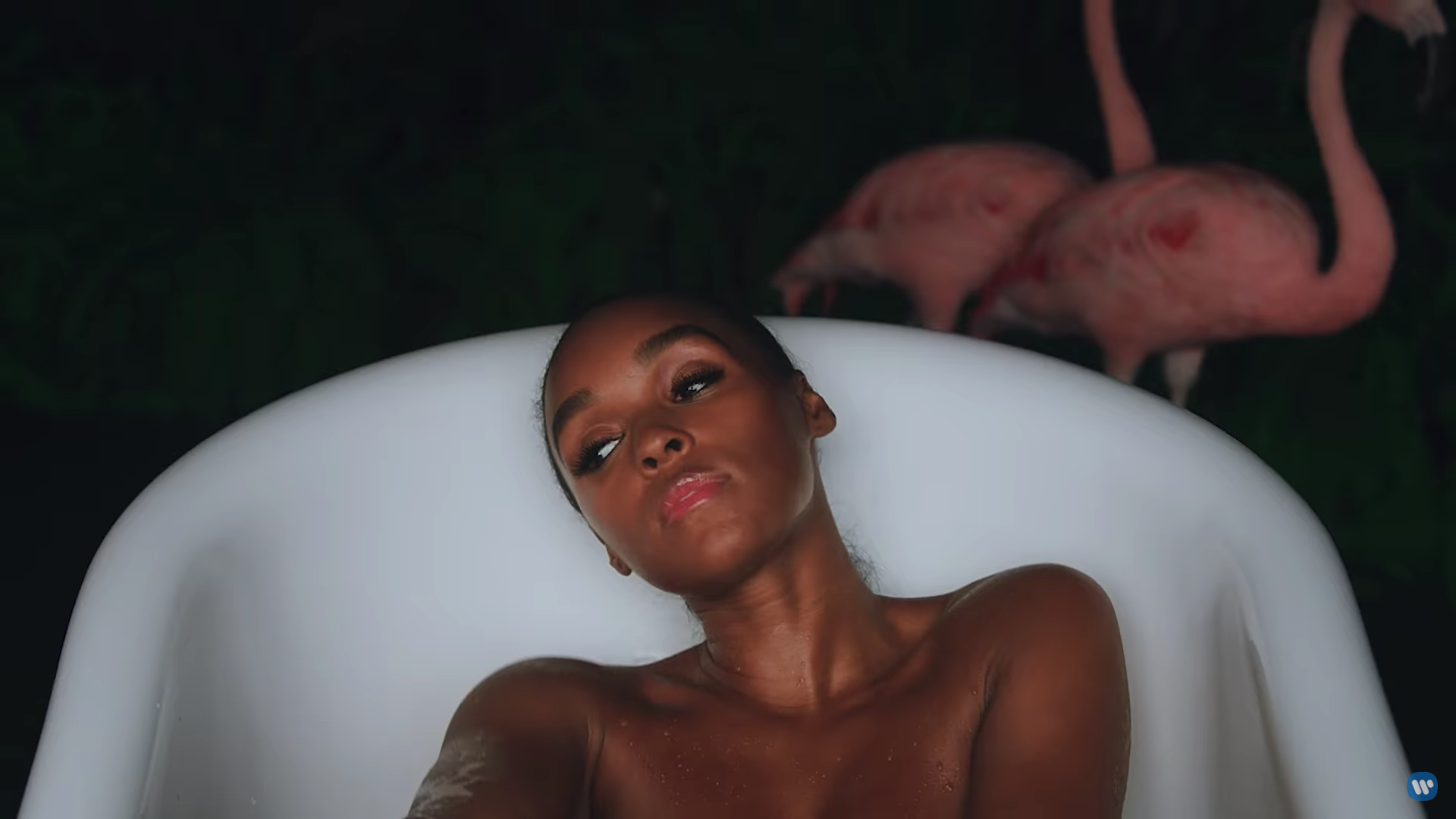 Janelle Monáe's Dirty Computer Trailer is Full of Symbolic Looks.
