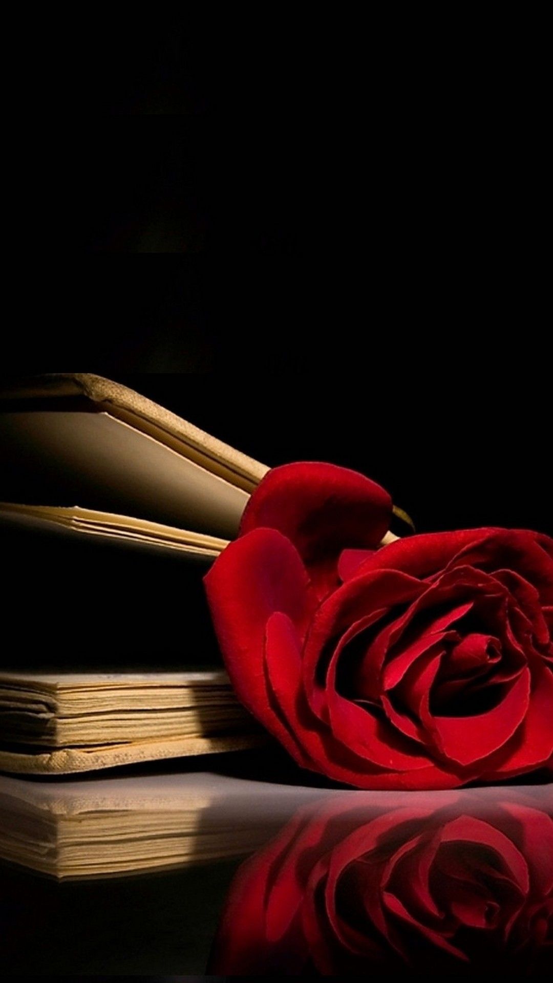 Full Screen Home Screen Rose Wallpaper HD