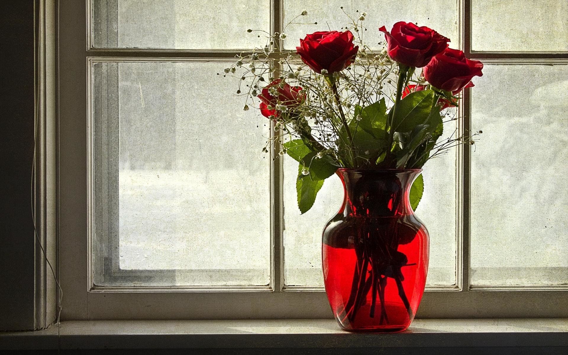Roses in Vase on Windowsill HD Wallpaper. Background Image