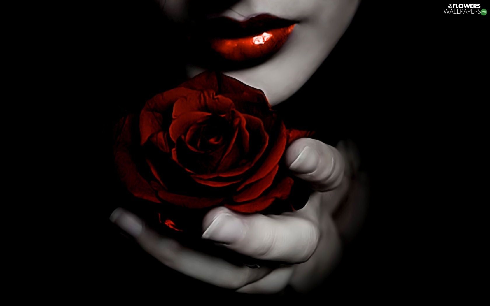 Women, red hot, rose, lips wallpaper: 1680x1050