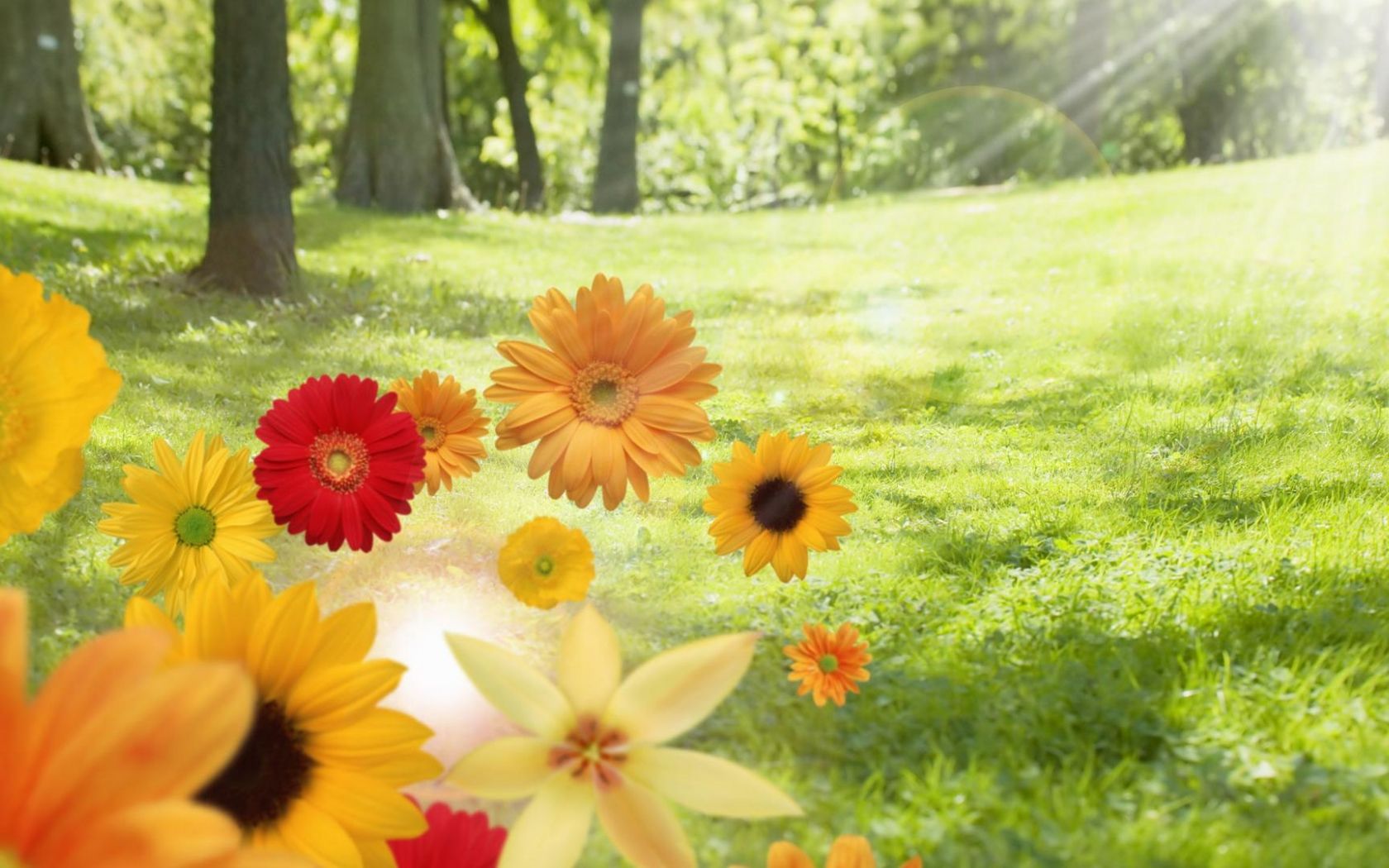Free download Summer Flowers Desktop Background 19201080 suns