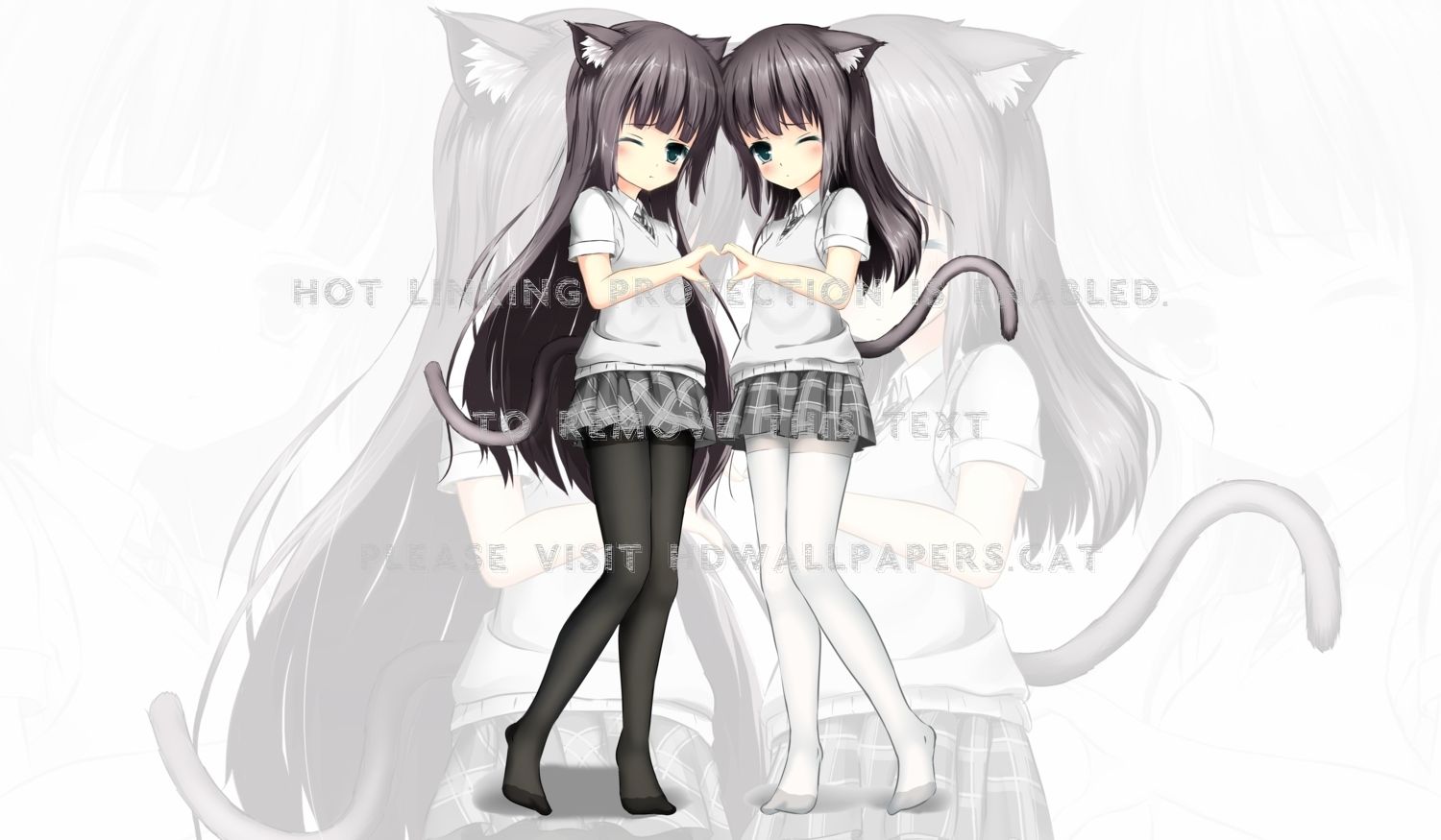 twin neko girls anime cat ears loli