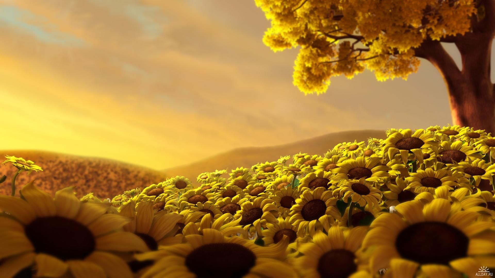 Amazing Beautiful Yellow Colorful Flowers Perfect Peace Dream