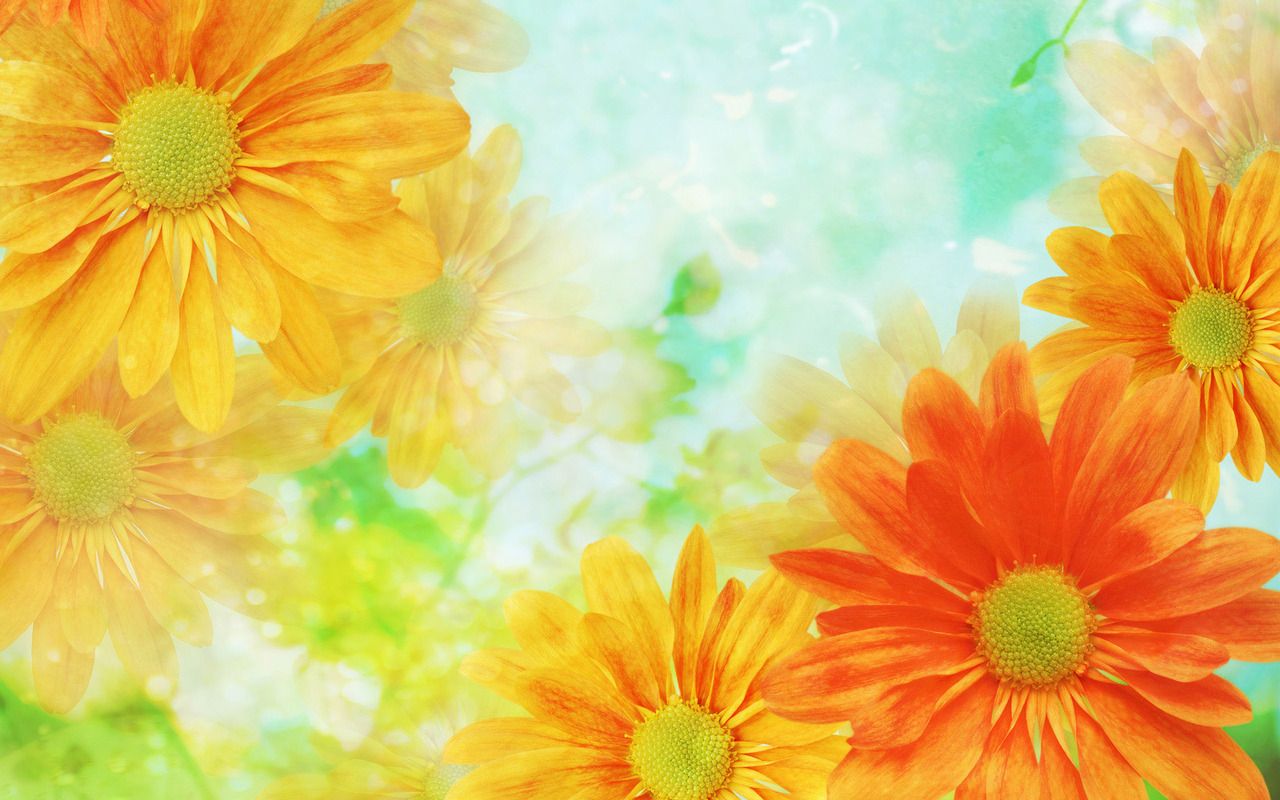 Free download Awesome Yellow Flower Wallpaper Desktop Wallpaper