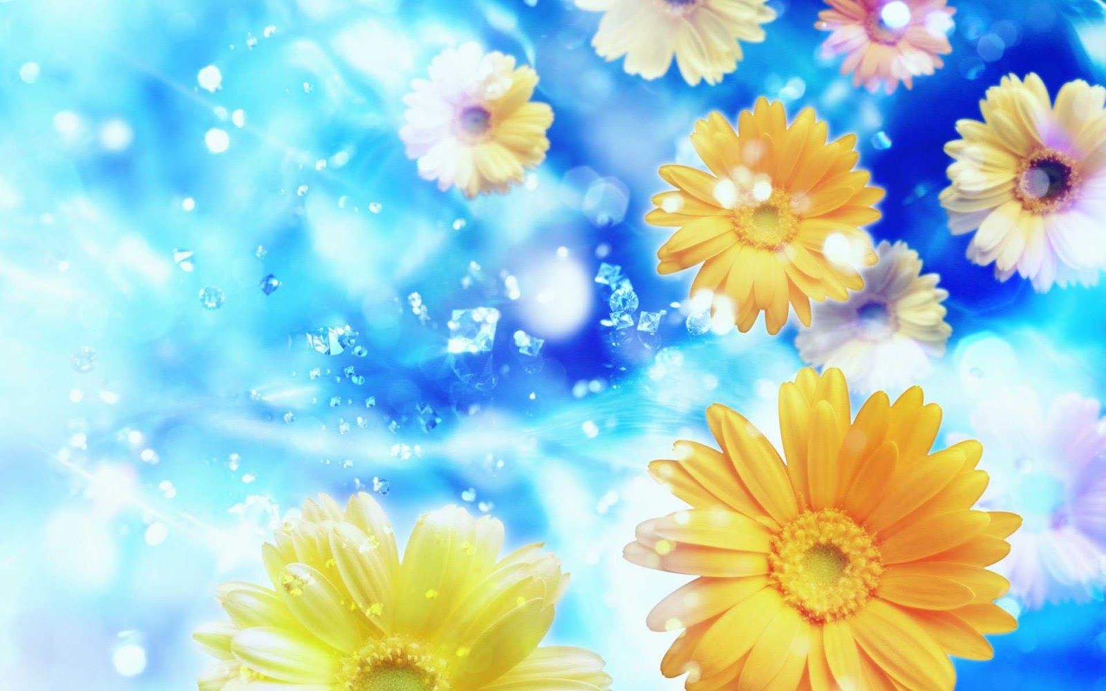 Free download Blue Background Yellow Flowers HD Wallpaper yellow