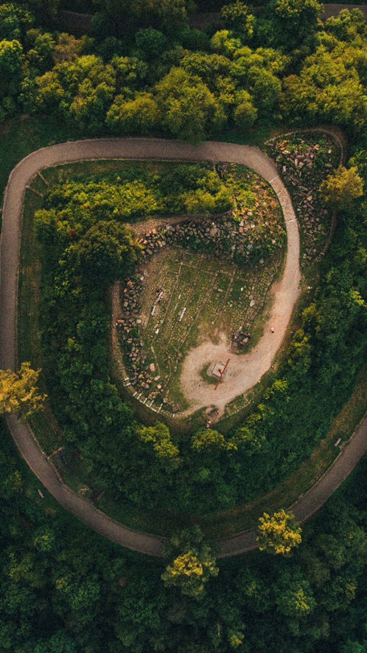 Turns, road, trees, aerial view, forest, 720x1280 wallpaper