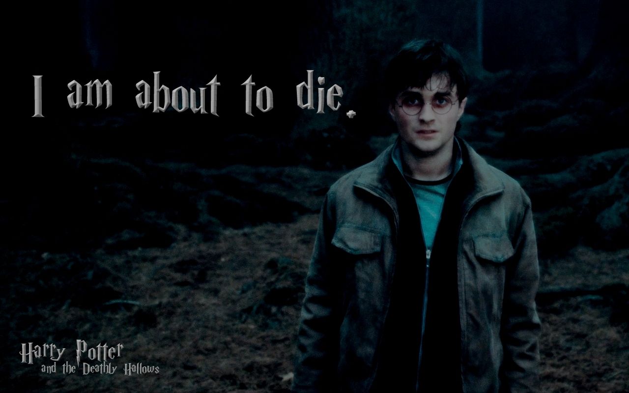 Harry in Deathly Hallows