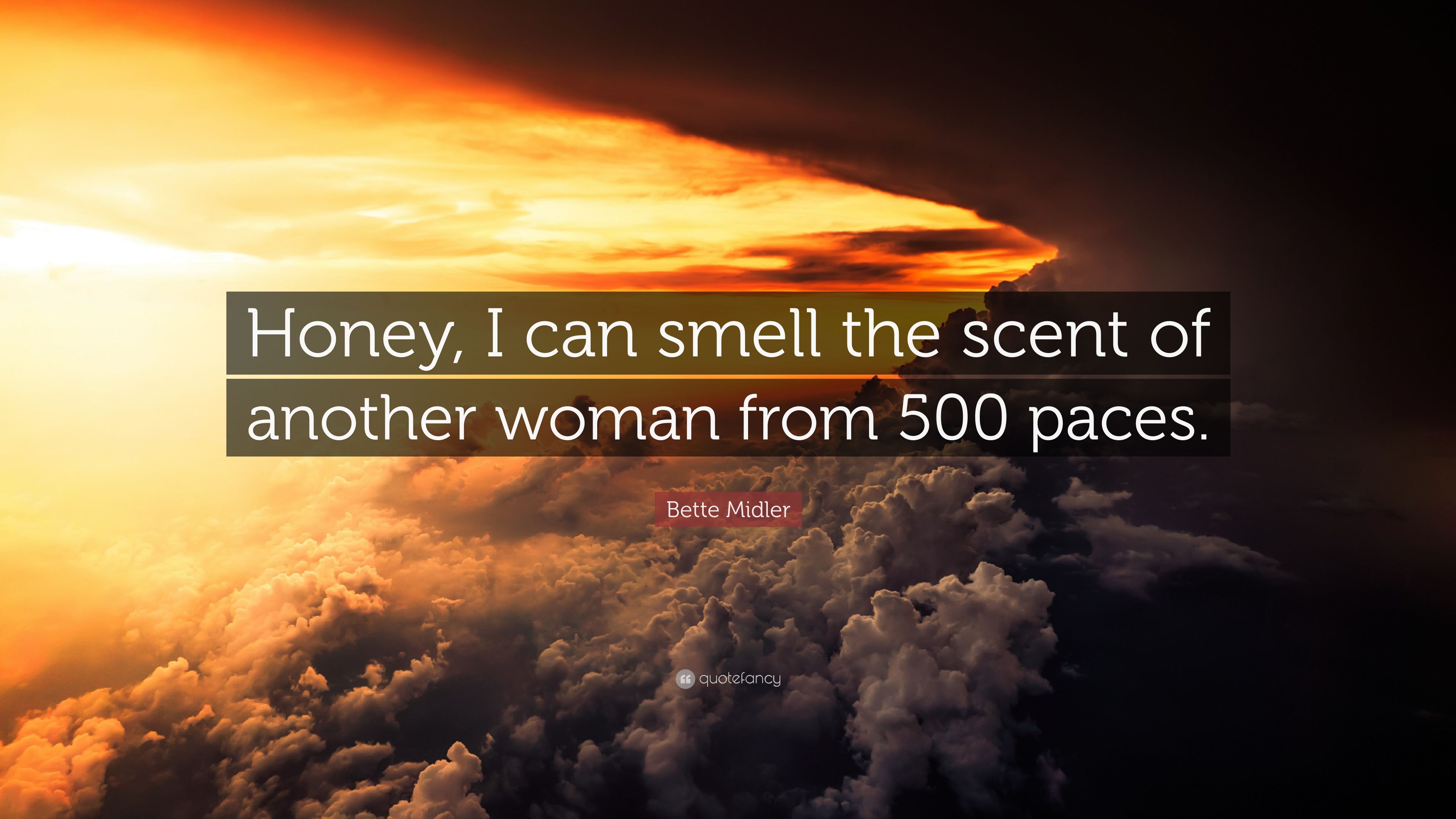 Scent Of A Woman Wallpapers Wallpaper Cave