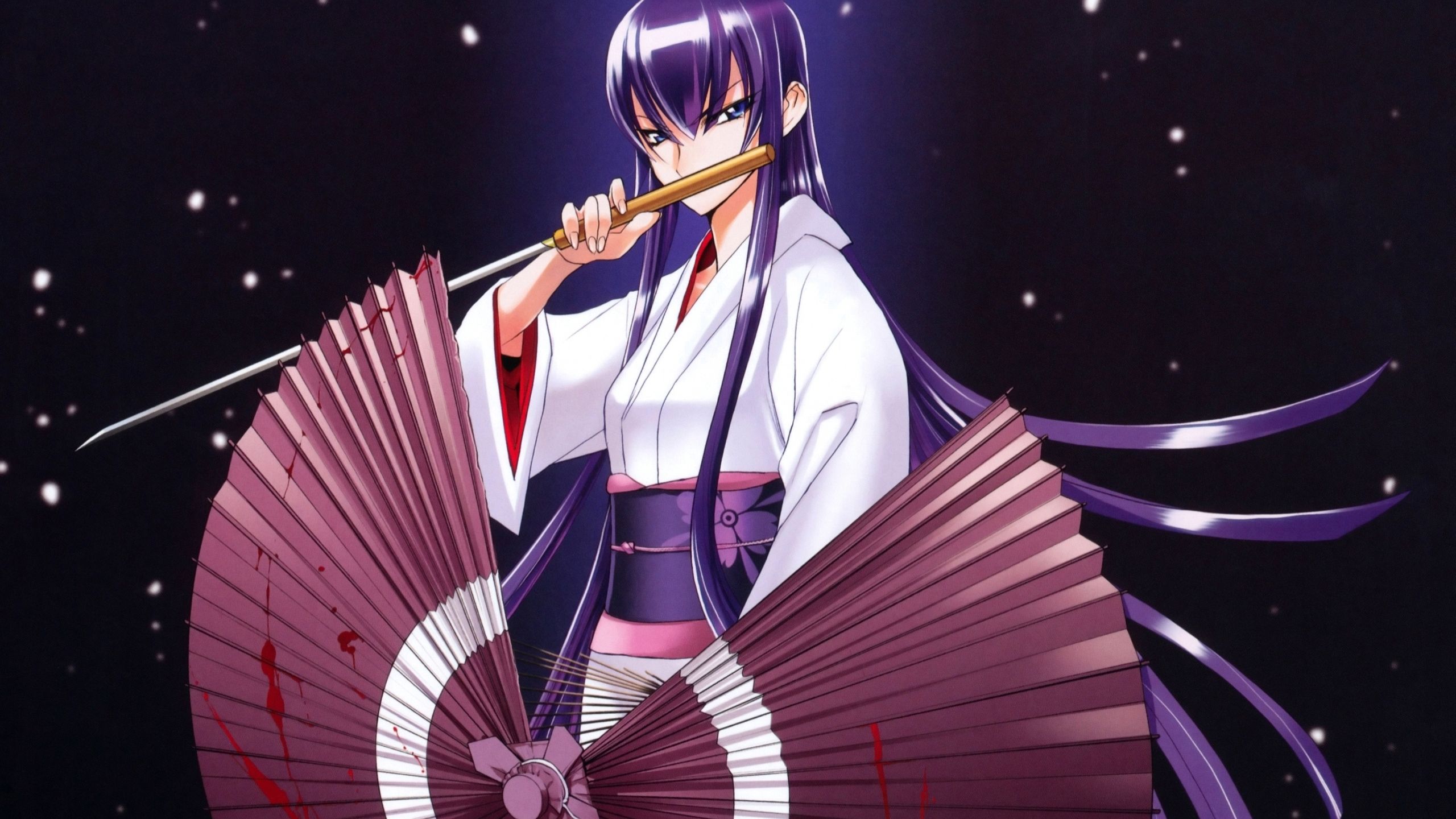 HD and Widescreen wallpapers of the swordmaiden Saeko Busujima from the Hig...