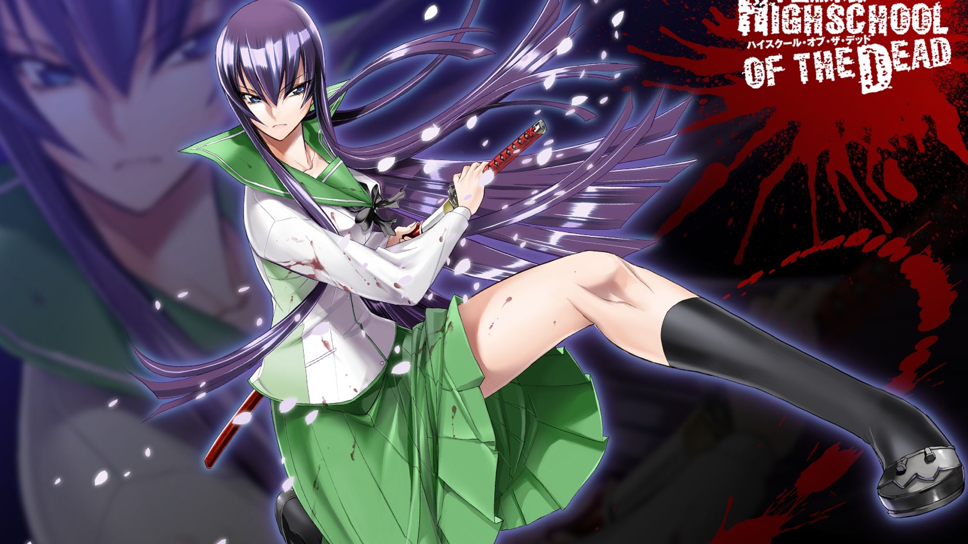 Busujima Saeko, Highschool of the Dead HD Wallpaper & Background