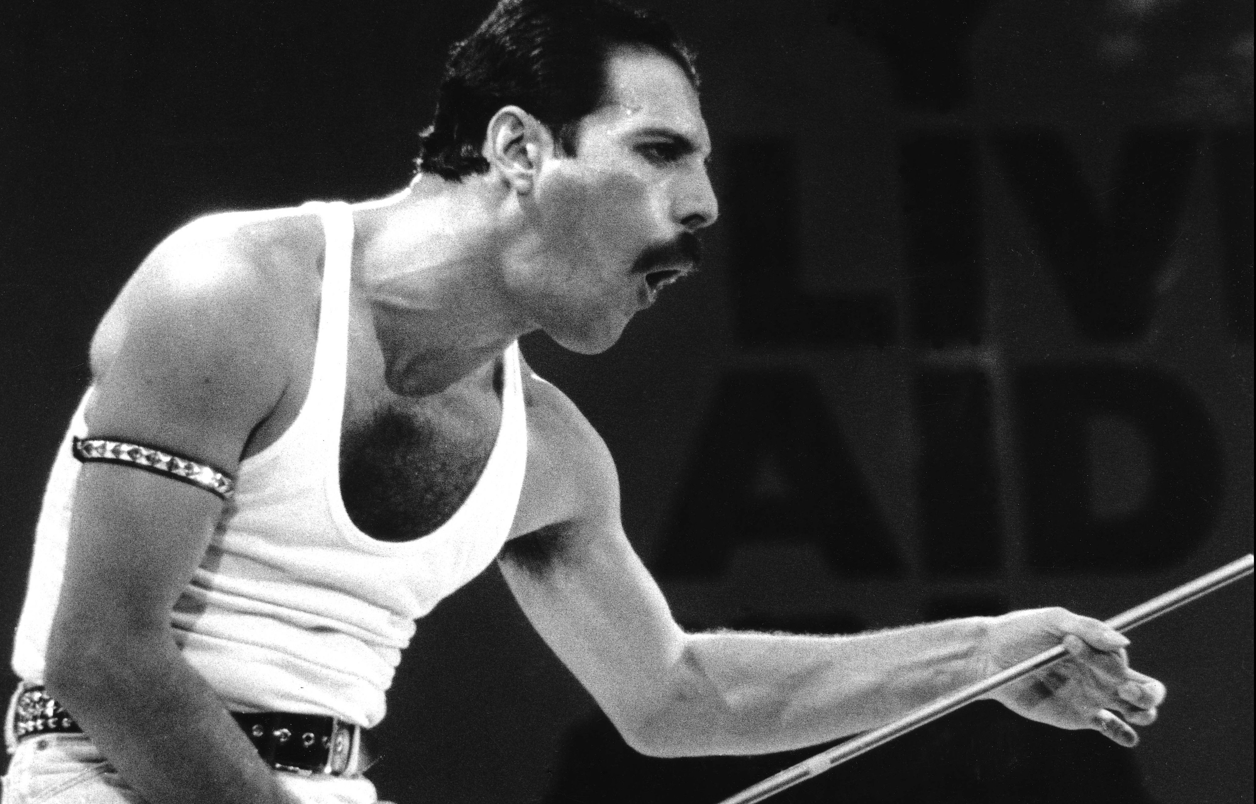 Freddie Mercury Wallpaper, Picture, Image