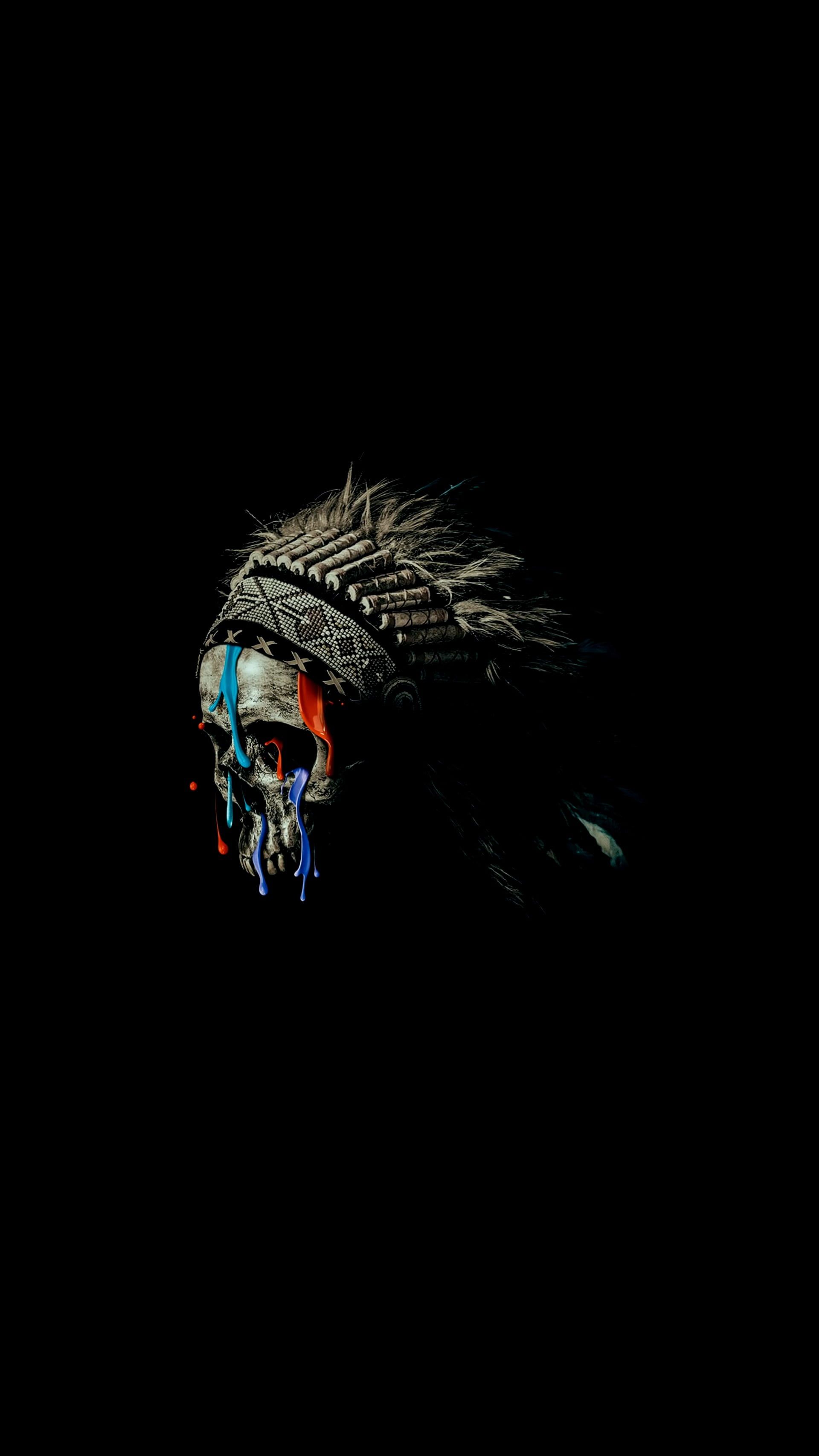 white and multicolored skull with war bonnet illustration black