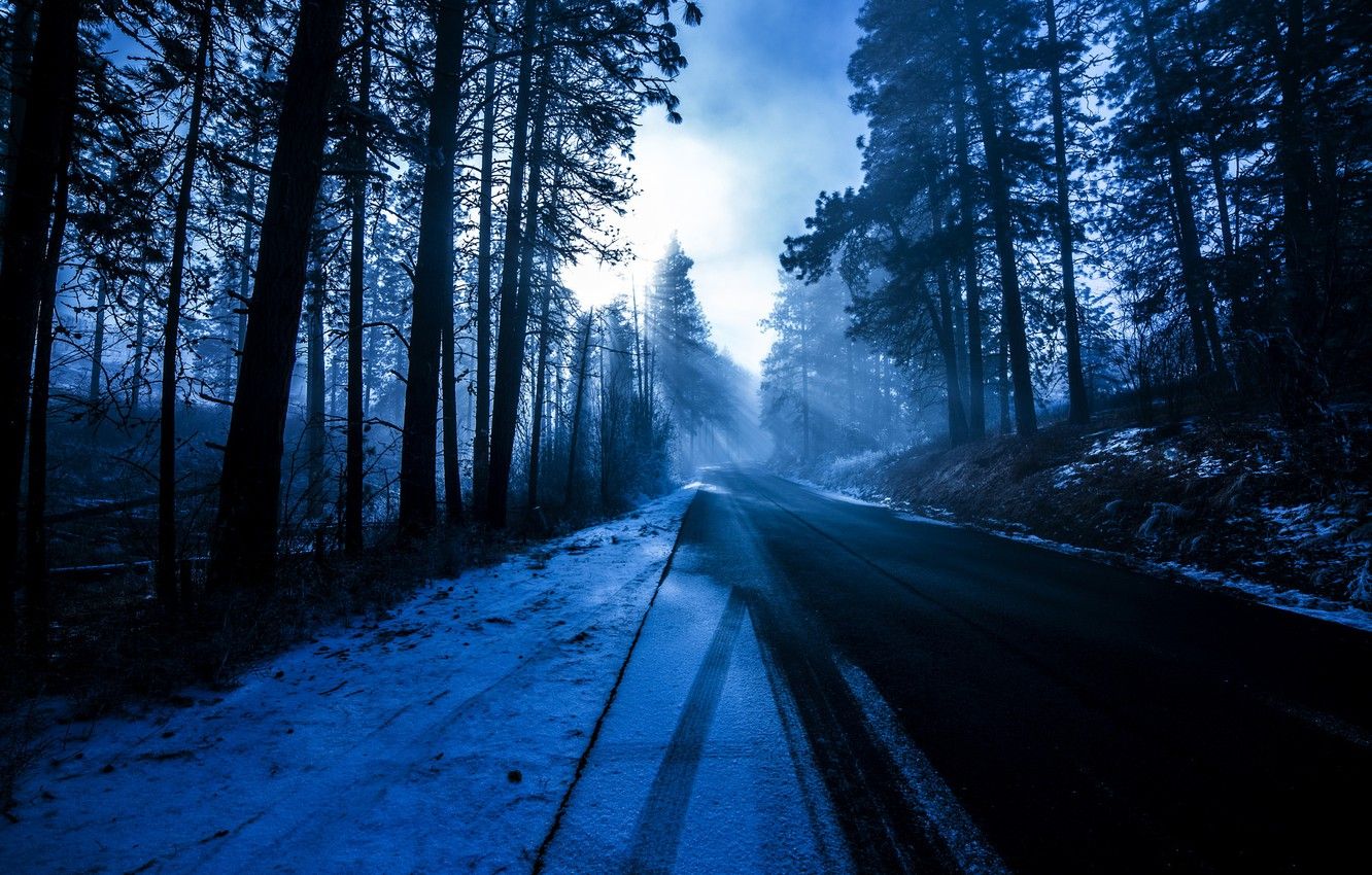 Wallpaper winter, road, forest, the sun, rays, snow, trees, nature, blue, roadside image for desktop, section природа