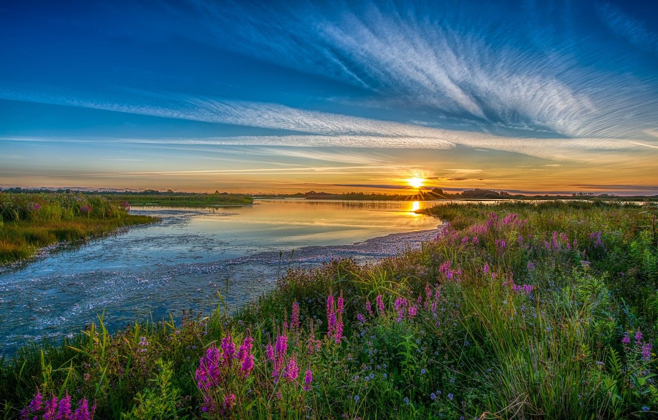 Wallpaper greens, the sky, grass, color, the sun, clouds, rays, landscape, flowers, nature, river, blue, blue, shore, bright, horizon image for desktop, section пейзажи