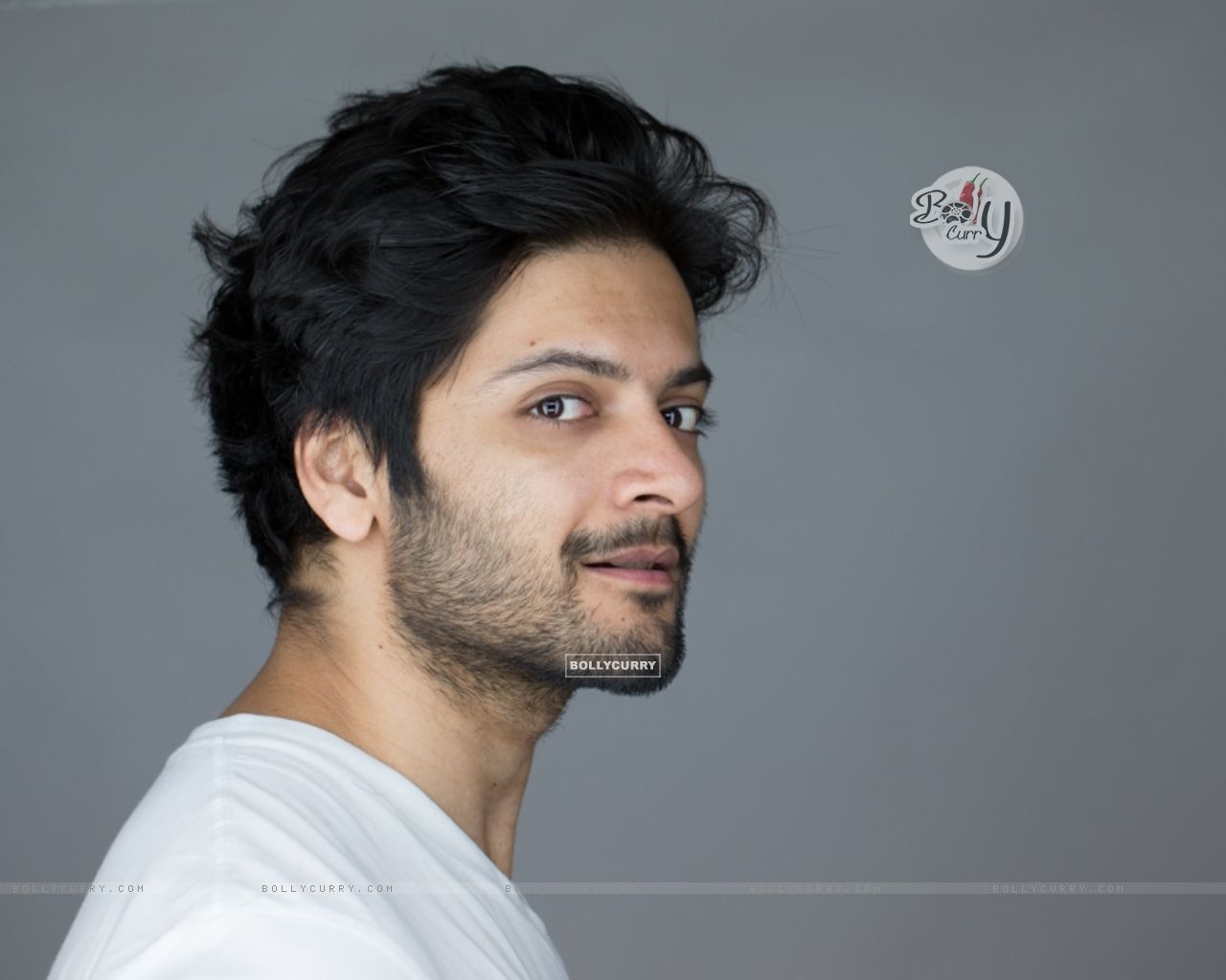 Wallpaper Fazal size:1280x1024