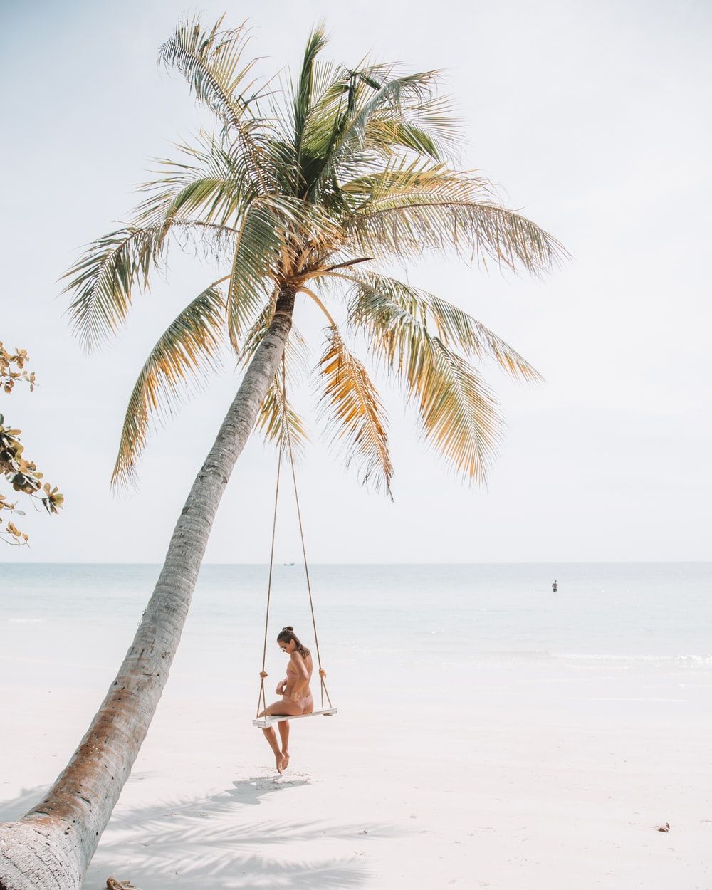 Beach Swing Picture. Download Free Image
