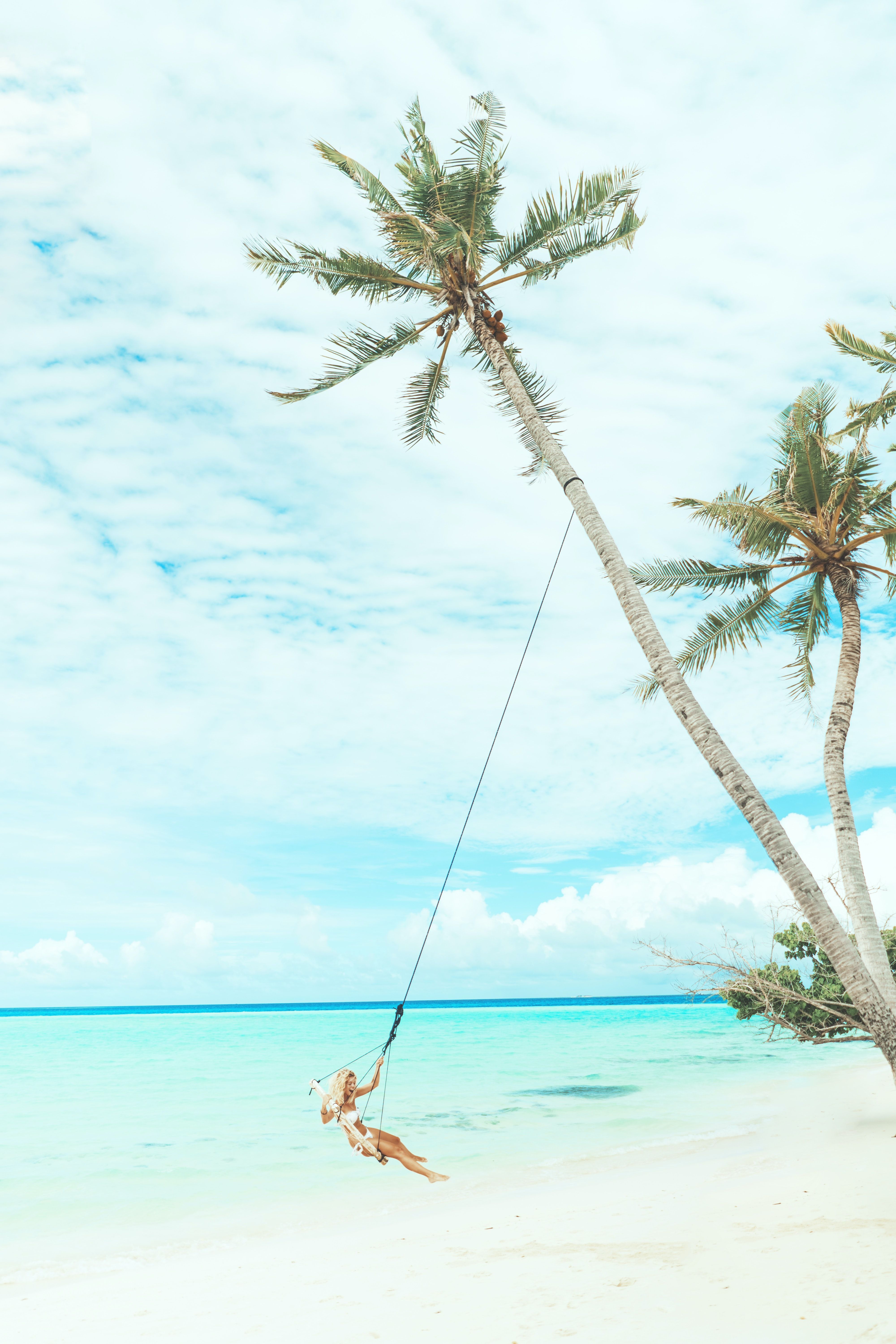 Beach Swing Picture. Download Free Image