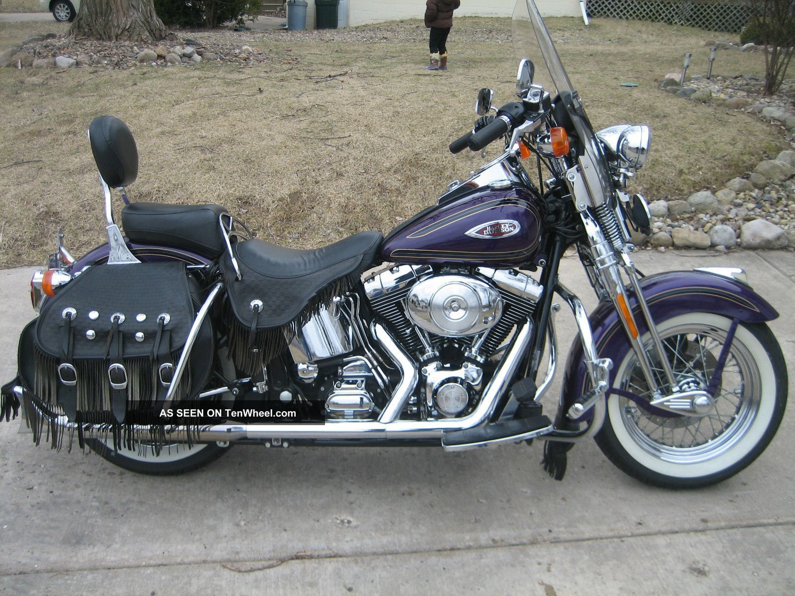 Harley Softail purple Harley Heritage Softail Springer
