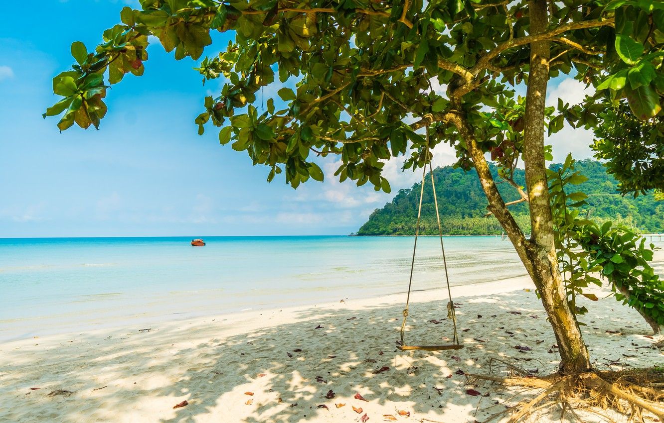Wallpaper sand, sea, wave, beach, summer, the sky, palm trees