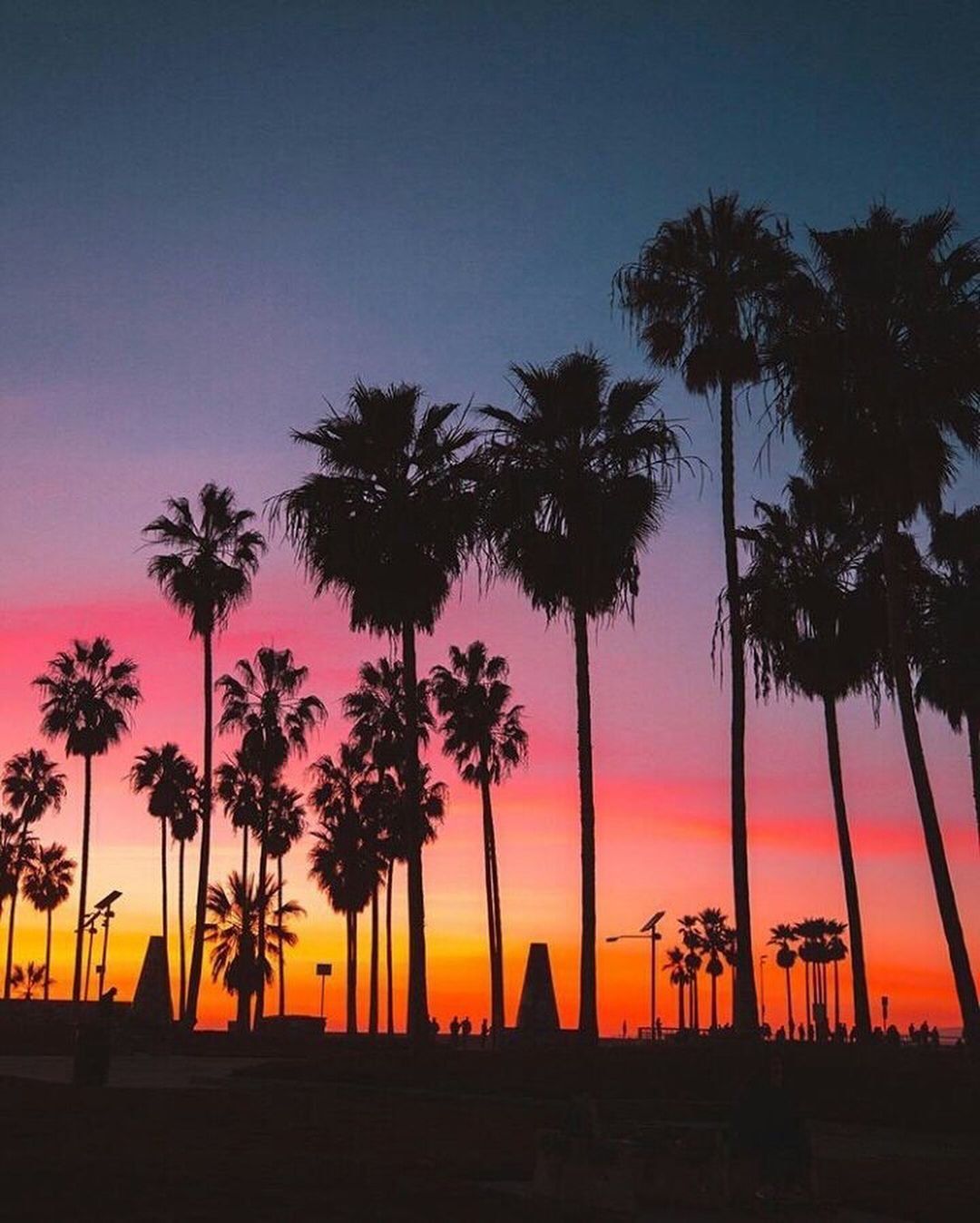 Sunset Aesthetic Wallpaper Palm Trees