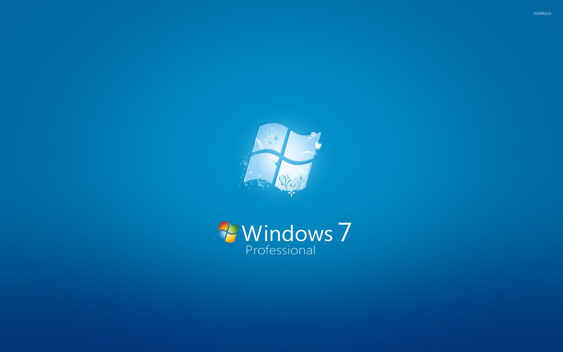 Windows 7 Professional wallpaper wallpaper