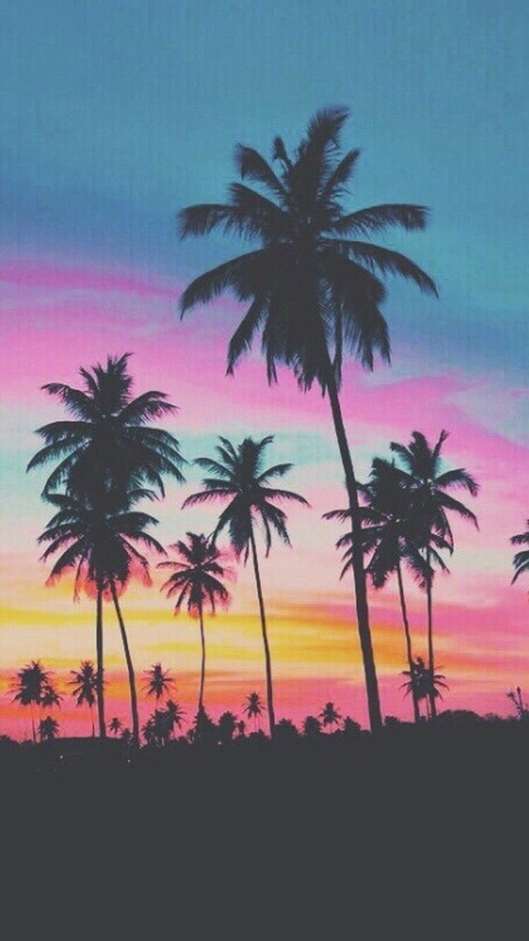 Lock Screen Palm Tree Sunset Wallpaper iPhone