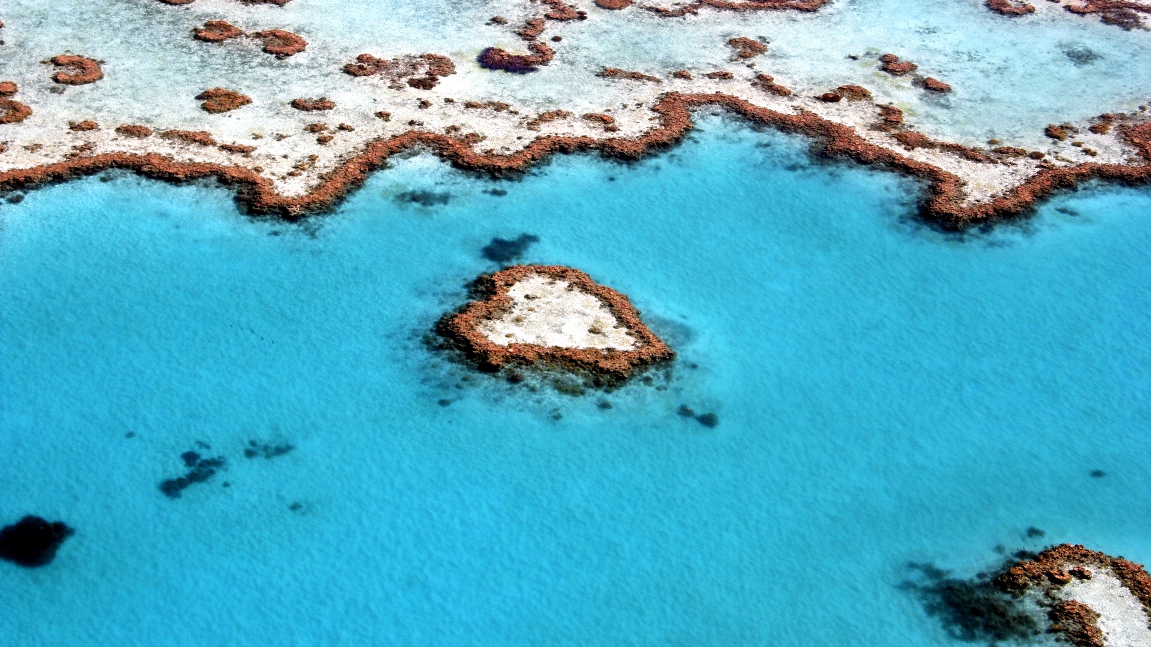 Wallpaper Great Barrier Reef, Coral reef, Queensland, Australia