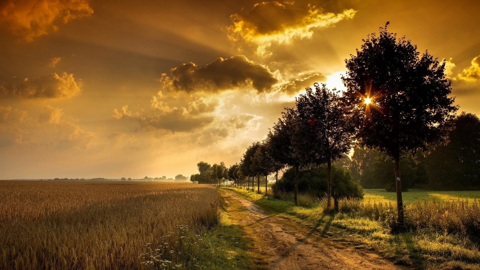 sunset field road HD wallpaper. Sunrise wallpaper