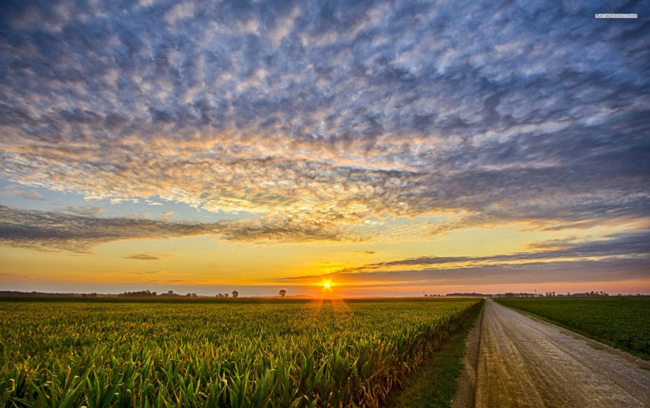Corn Field Road Clouds Sunset wallpaper. Corn Field Road Clouds