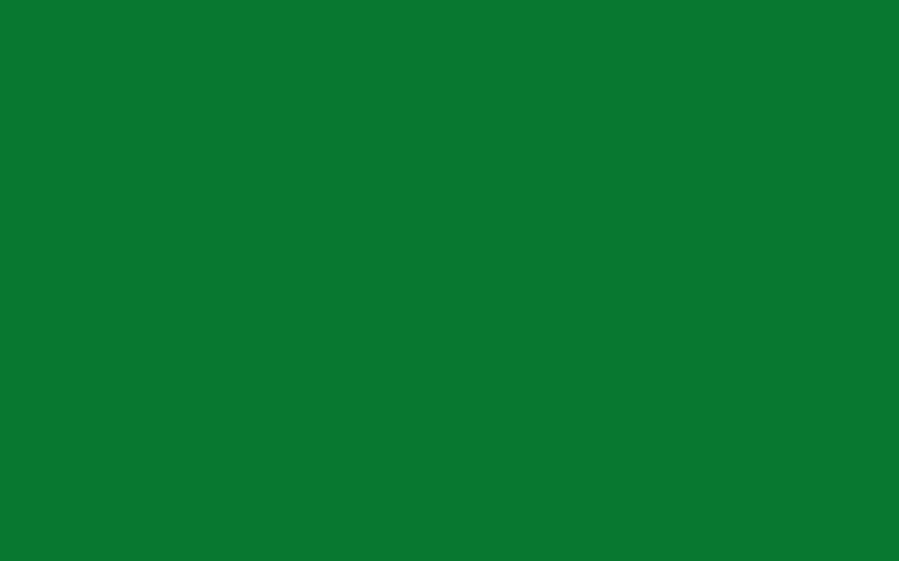 Green Color Wallpaper