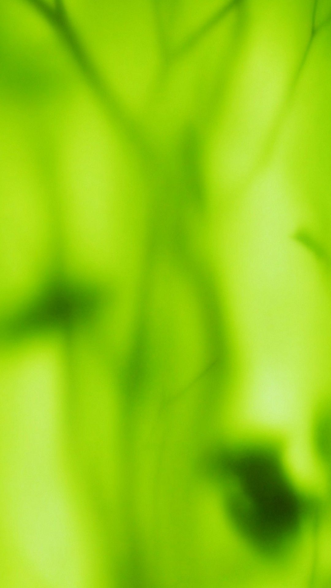 Green Colour Wallpaper For iPhone 3D iPhone Wallpaper